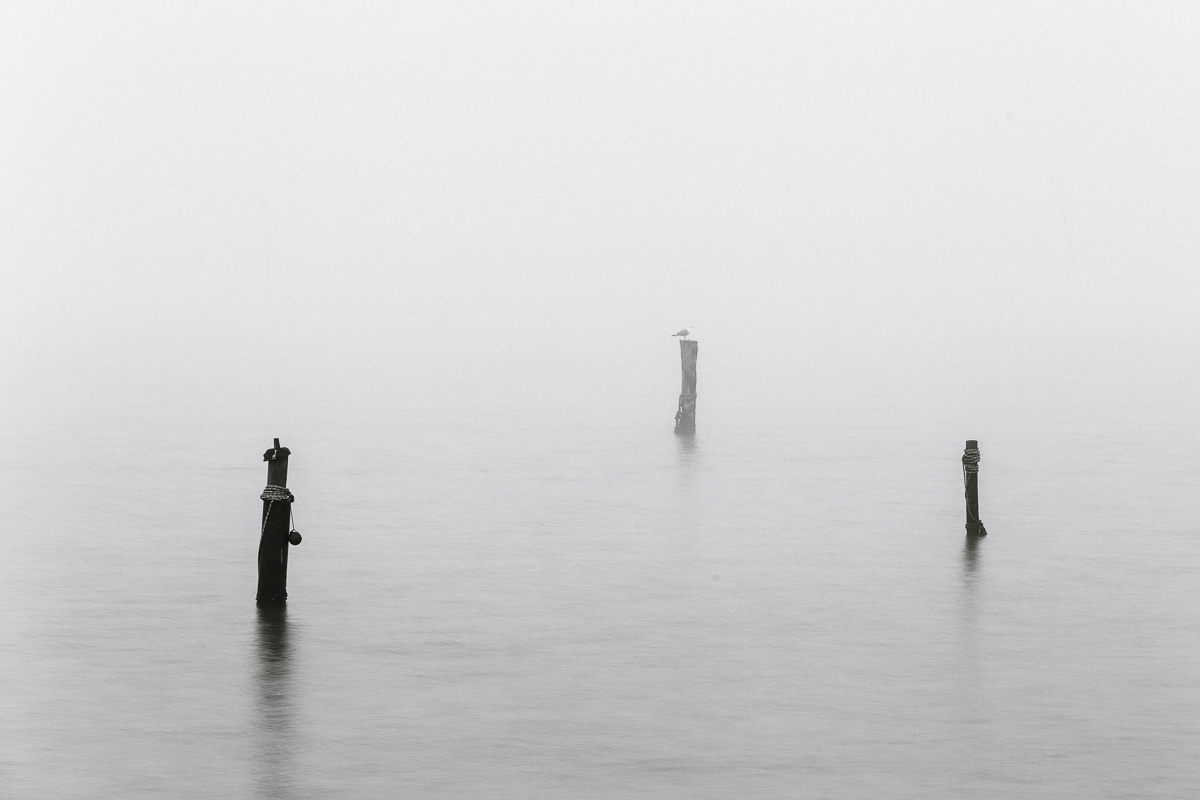 Tre pali e un gabbiano