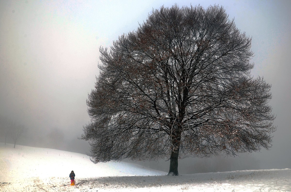 Il gigante e la bambina