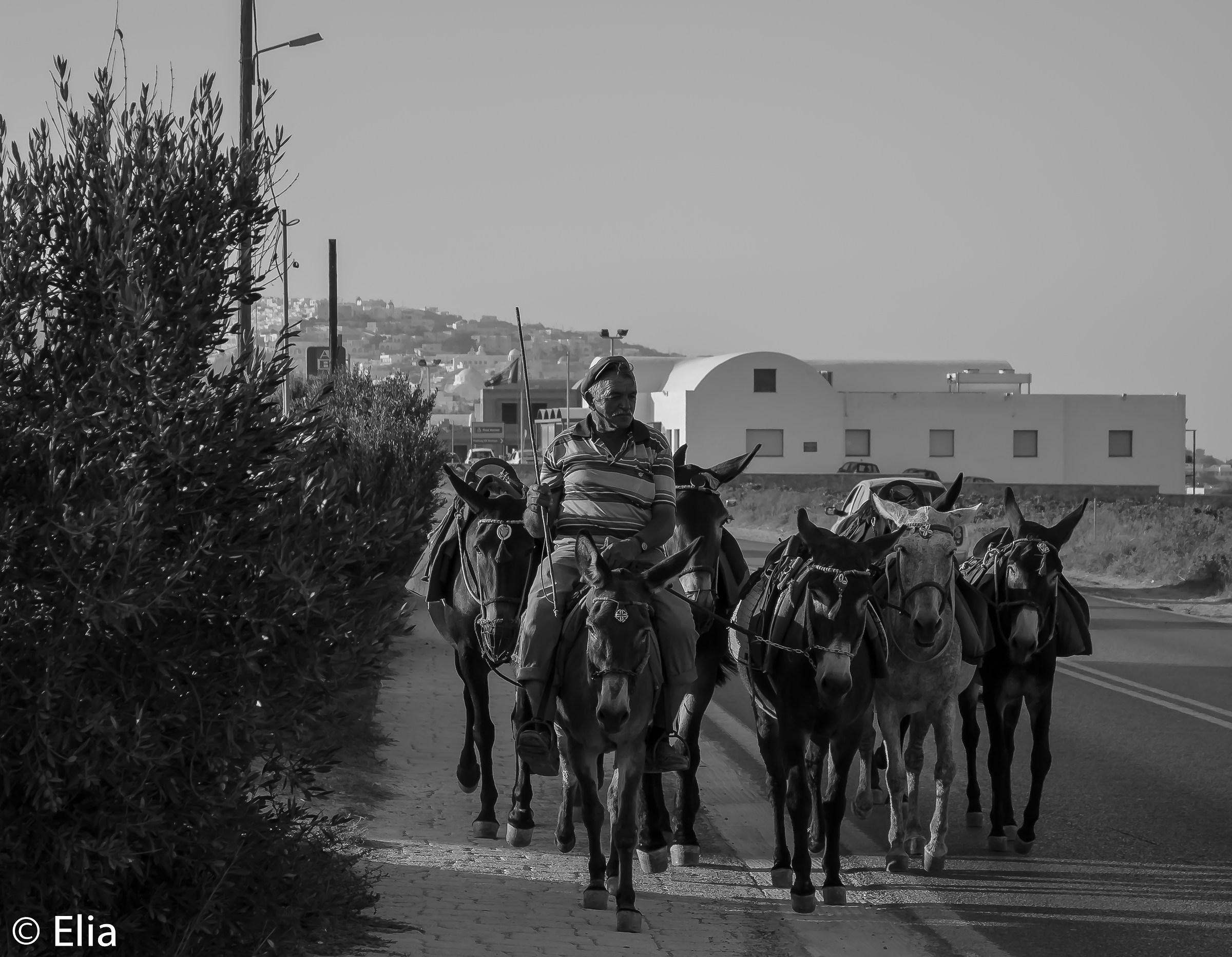 Customs Santorini - Greece