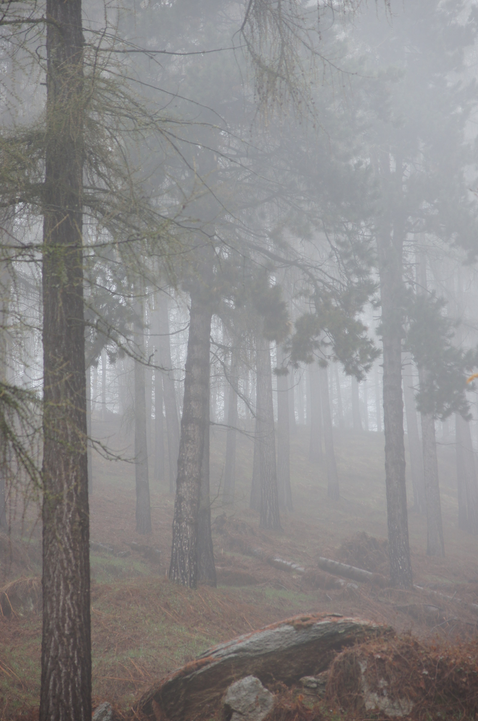 Monte San Bernardo - Val Maira CN