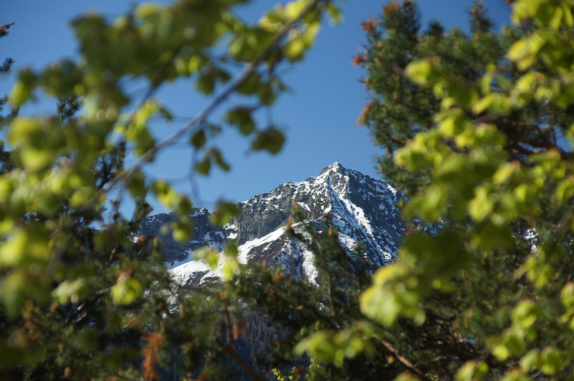 Loccia di Peve - Val Vigezzo VB
