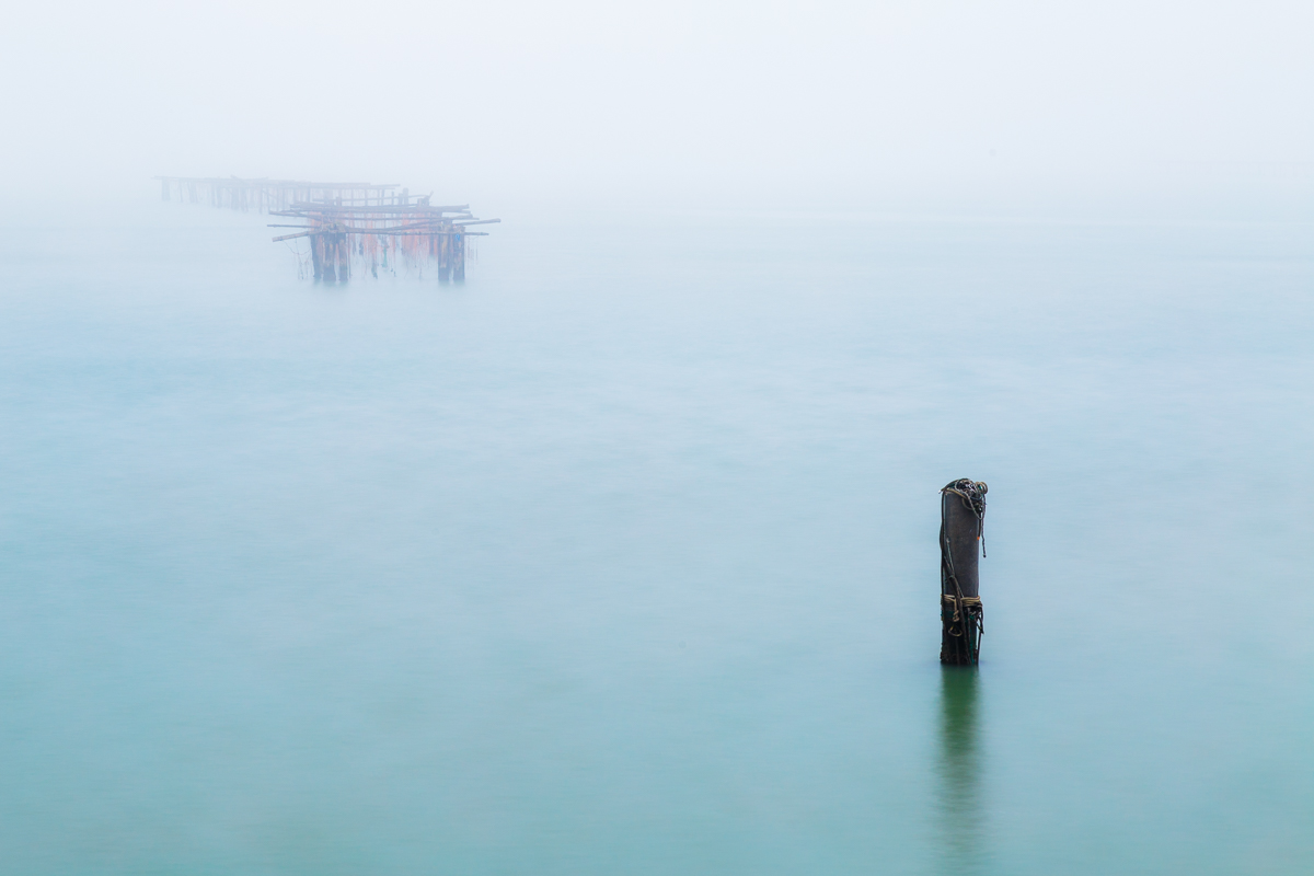 Sacca degli scardovari