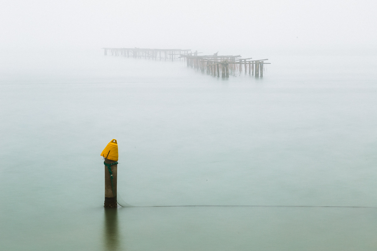 Sacca degli scardovari