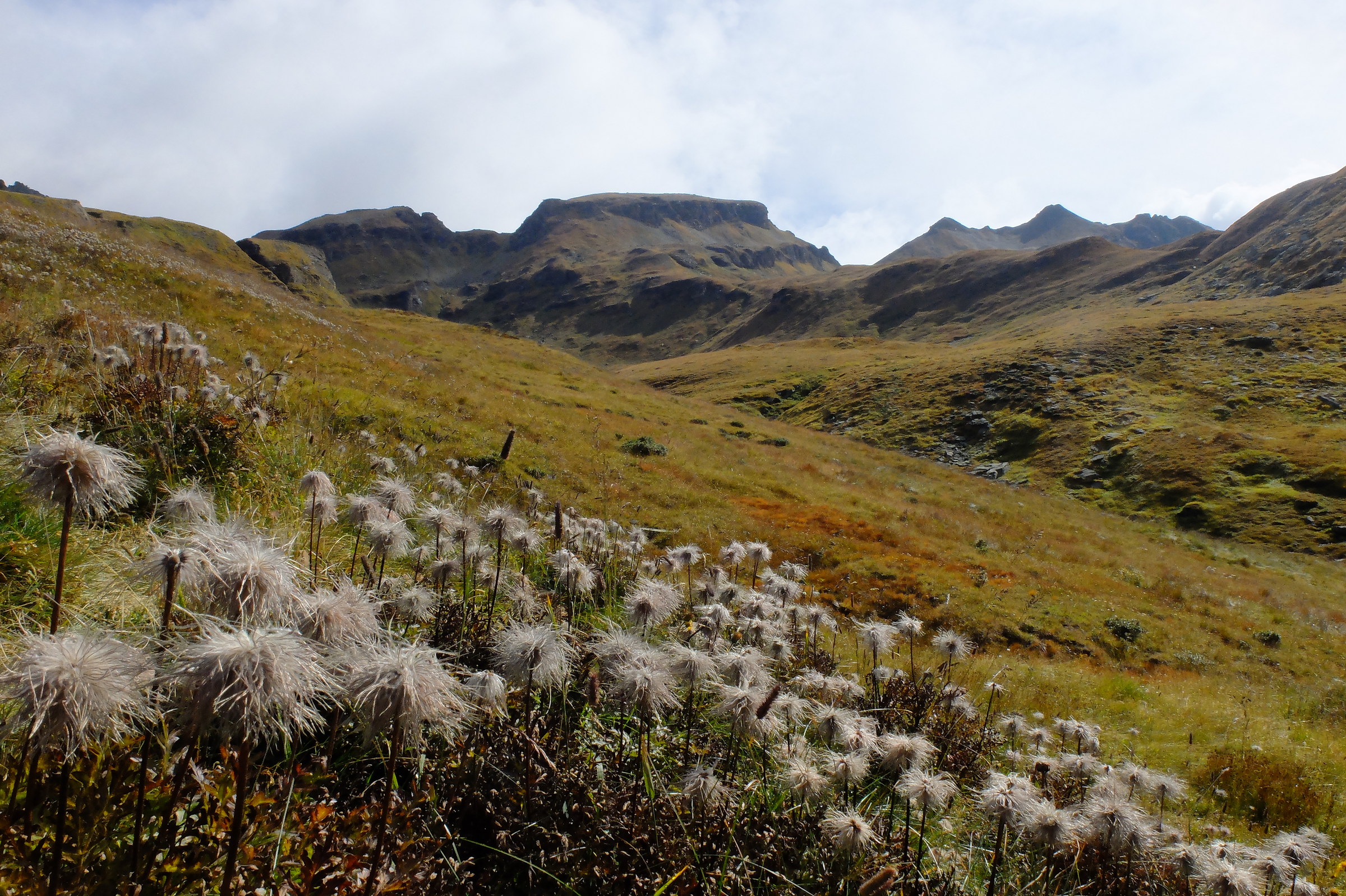 P. Tanzonia - Alpe Devero VB