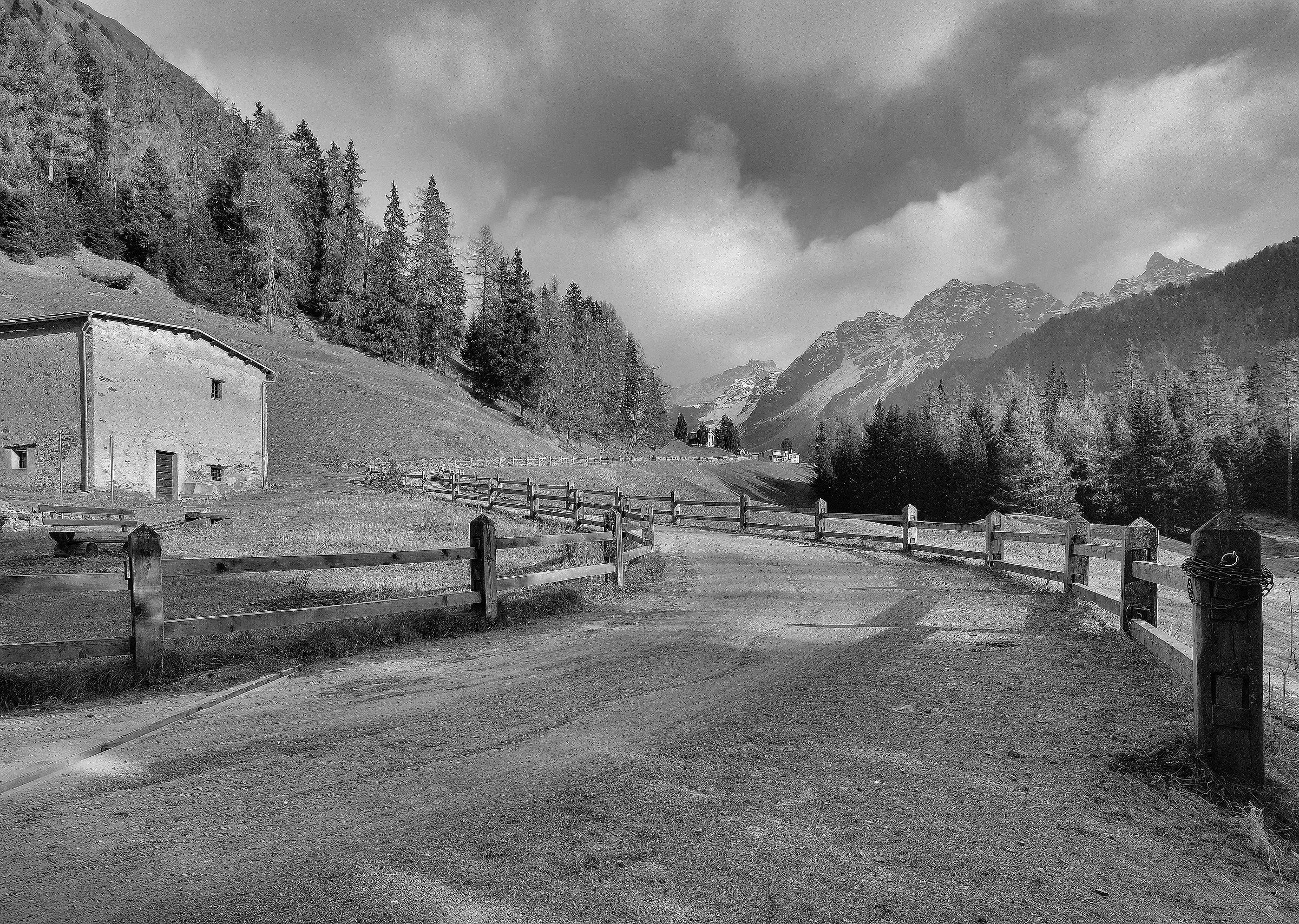 Un poco di sole in Val di Campo b/n vers.