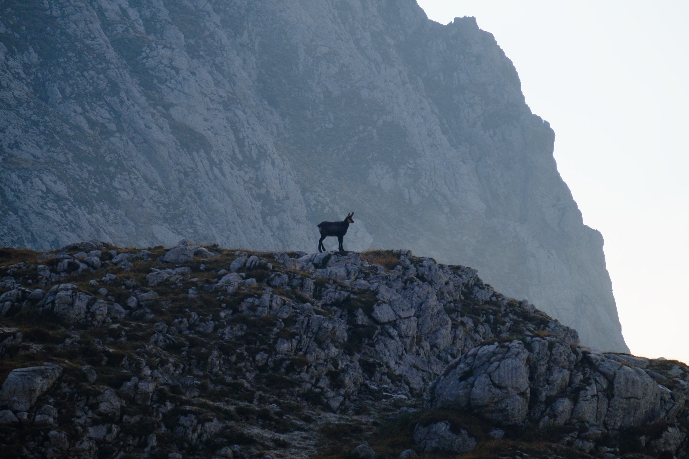 C. Vigna Vaga - Val Seriana BG
