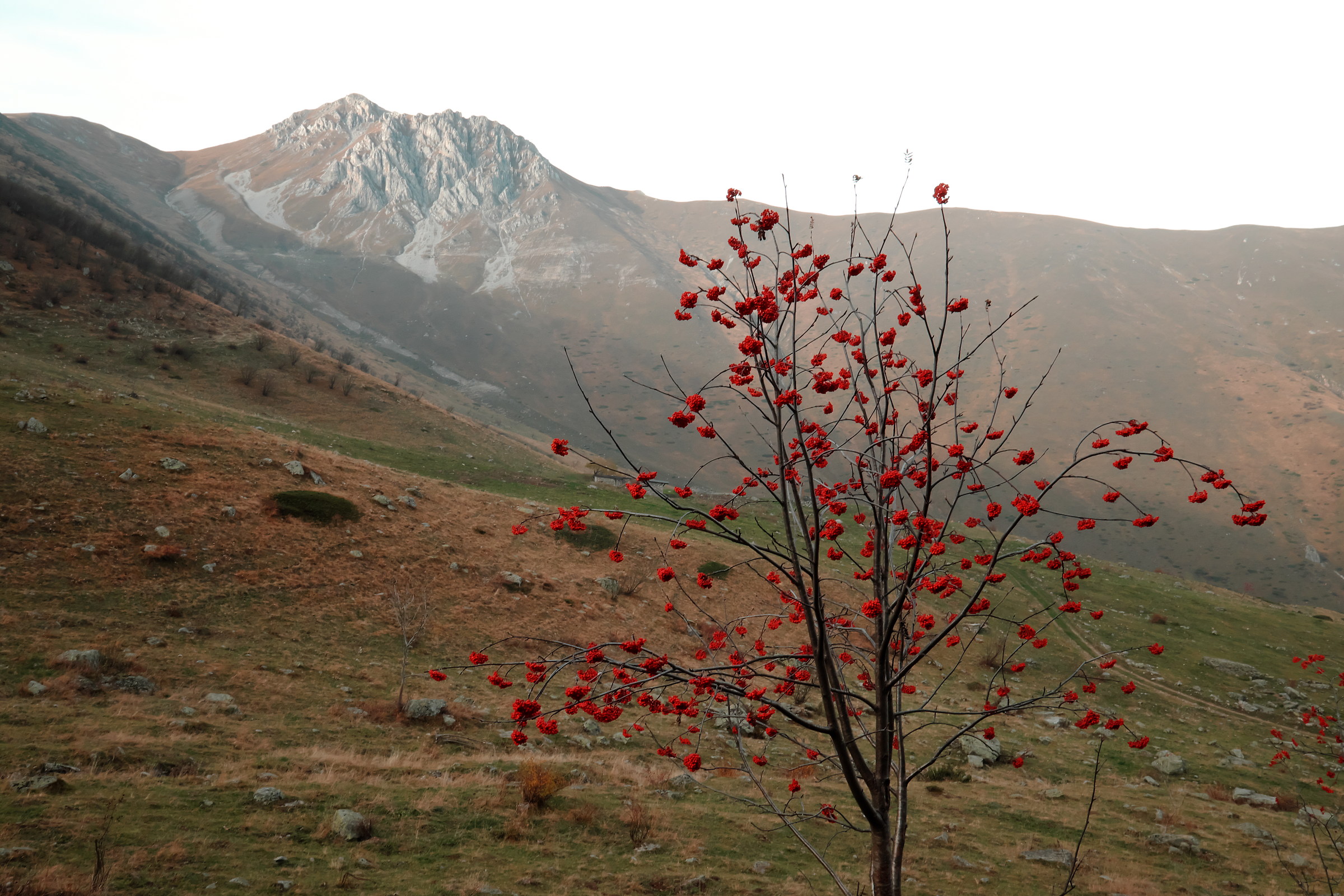 M. Bussaia - Val Vermenagna CN
