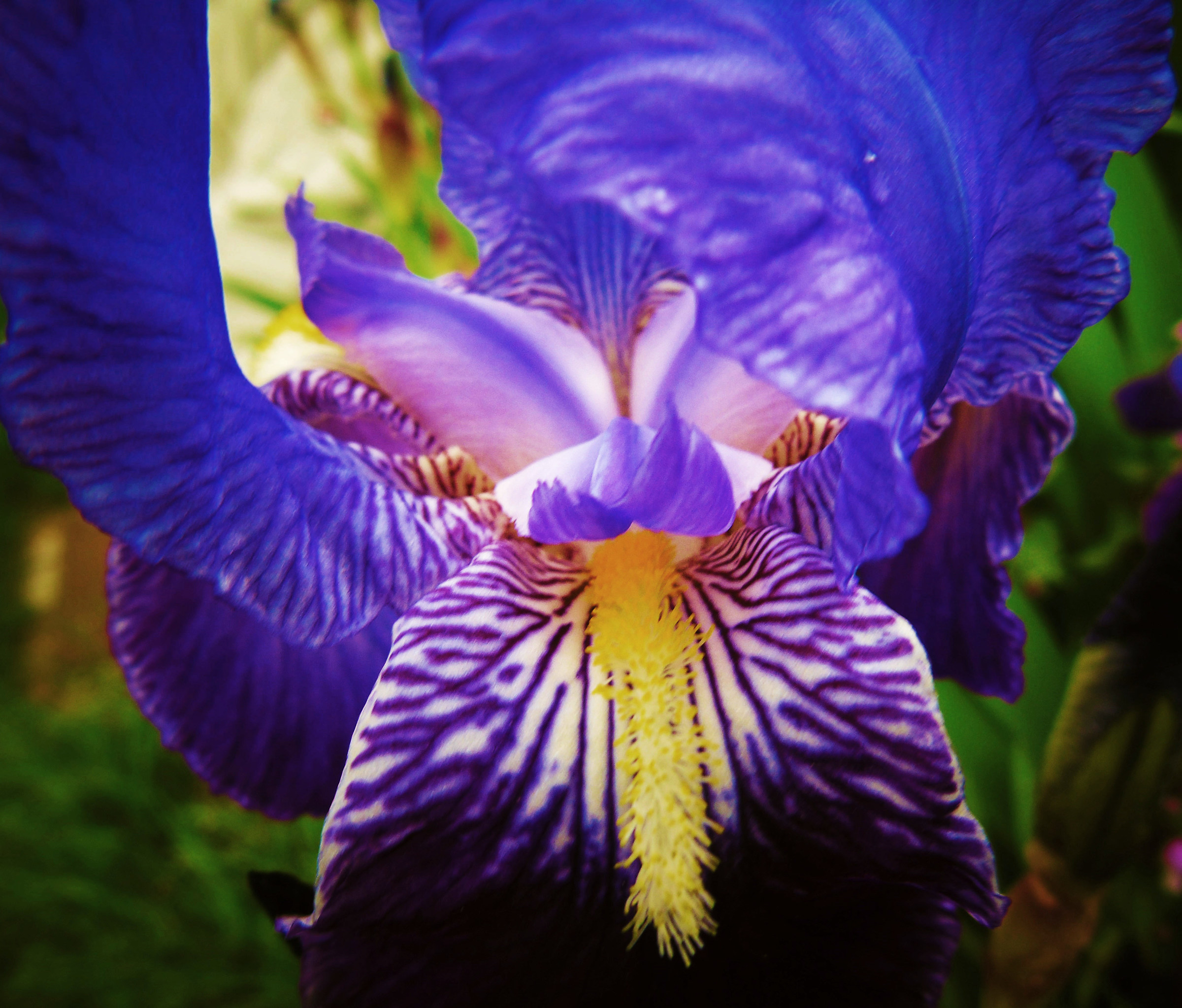Catturarela luce per trasformarla in tratti di pennello