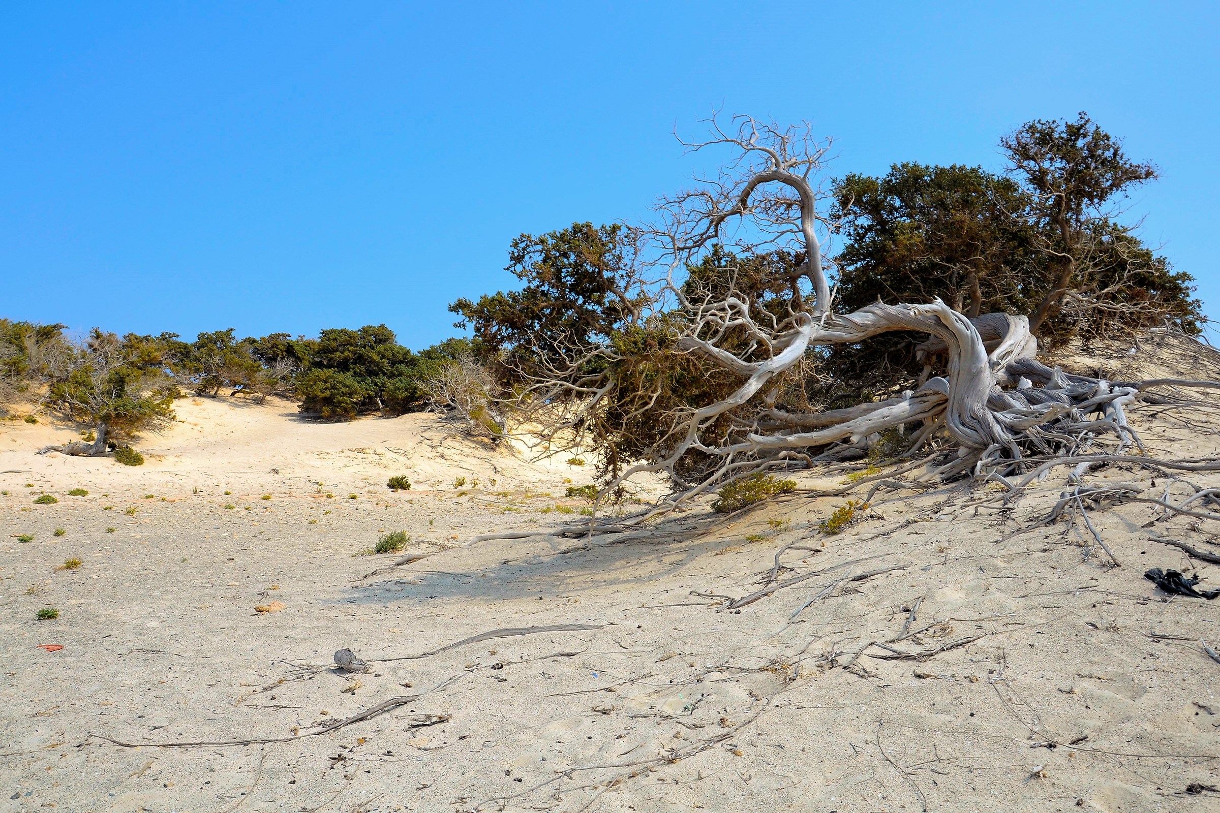 Creta isola di Chrissi