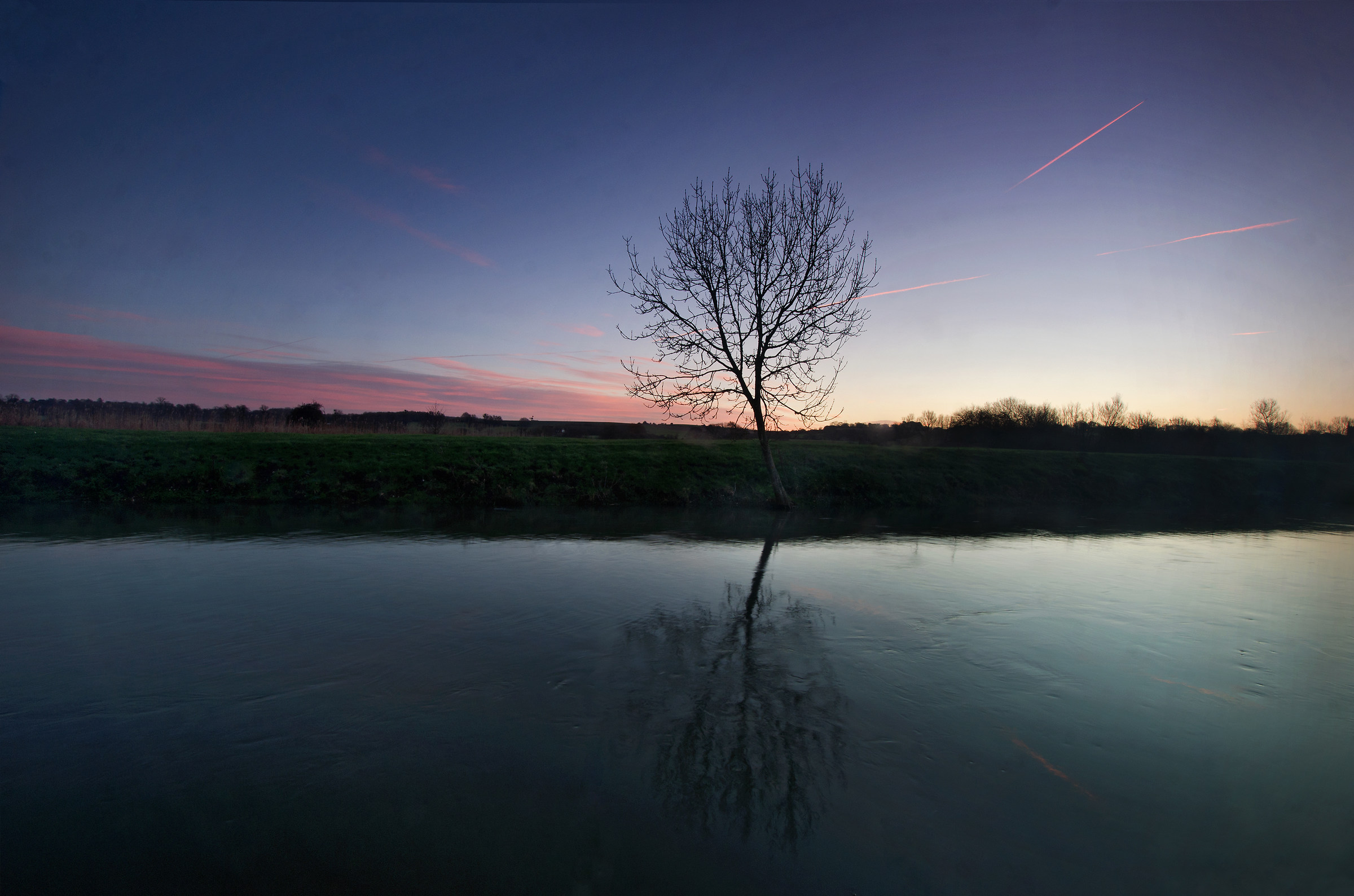 Riverbank Albero (Alba Glow)