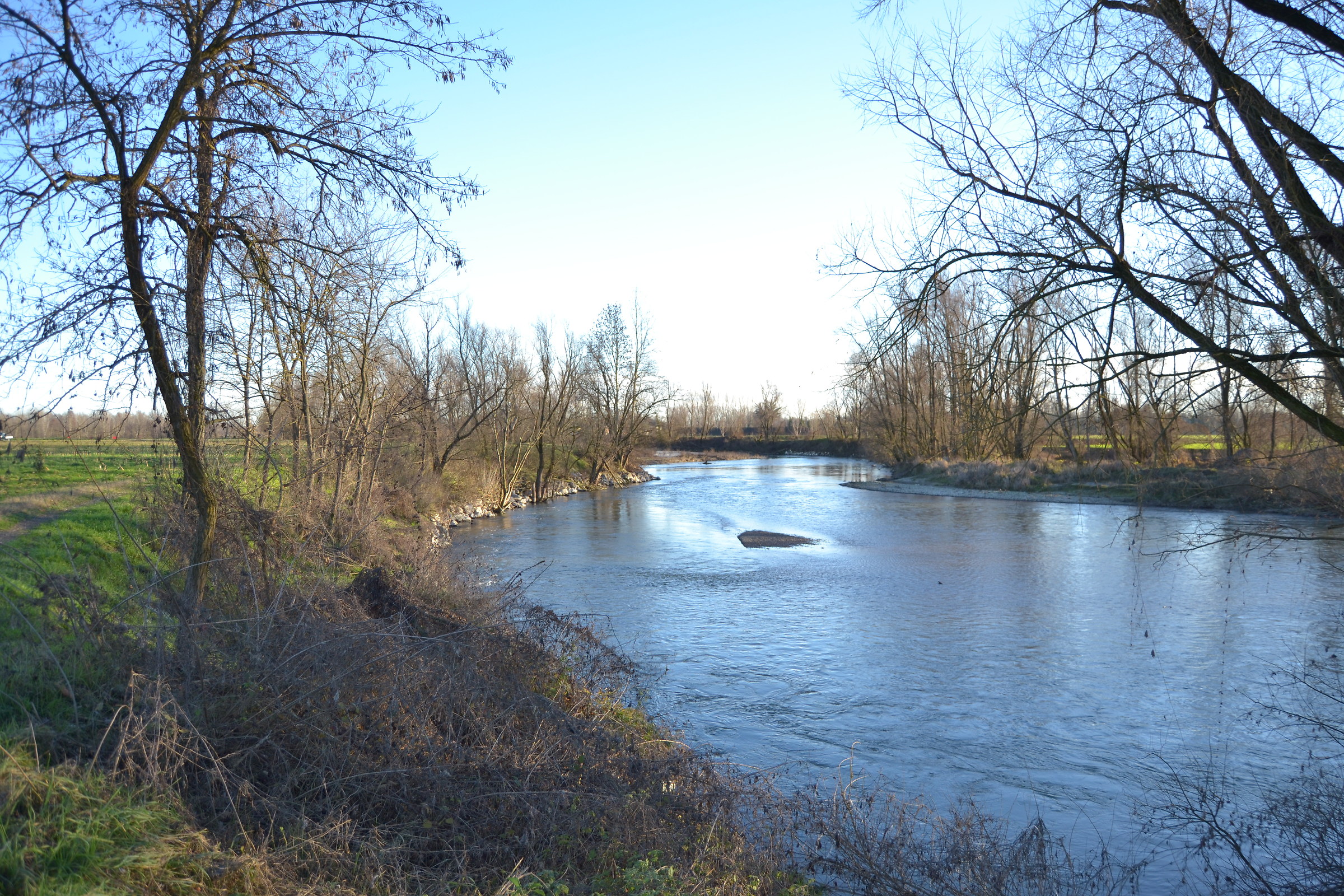 il silenzio dell'oglio
