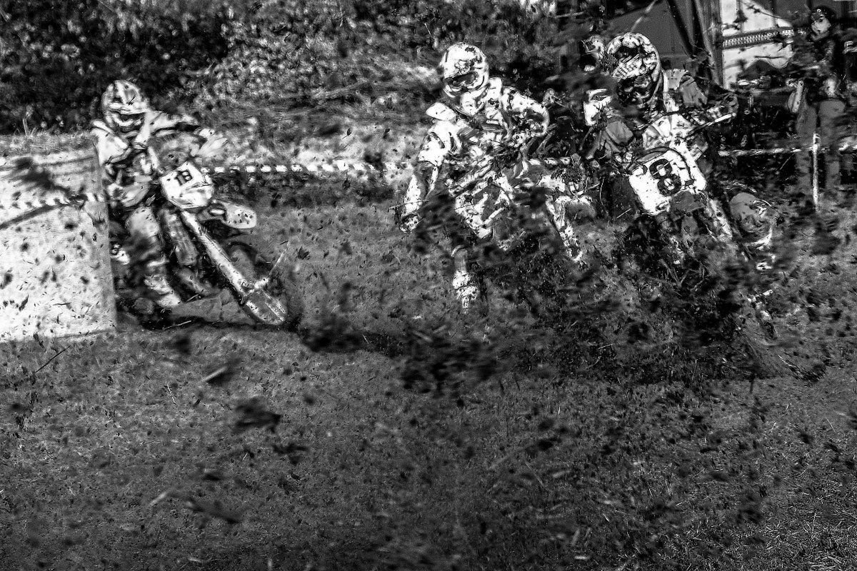 terra.......................