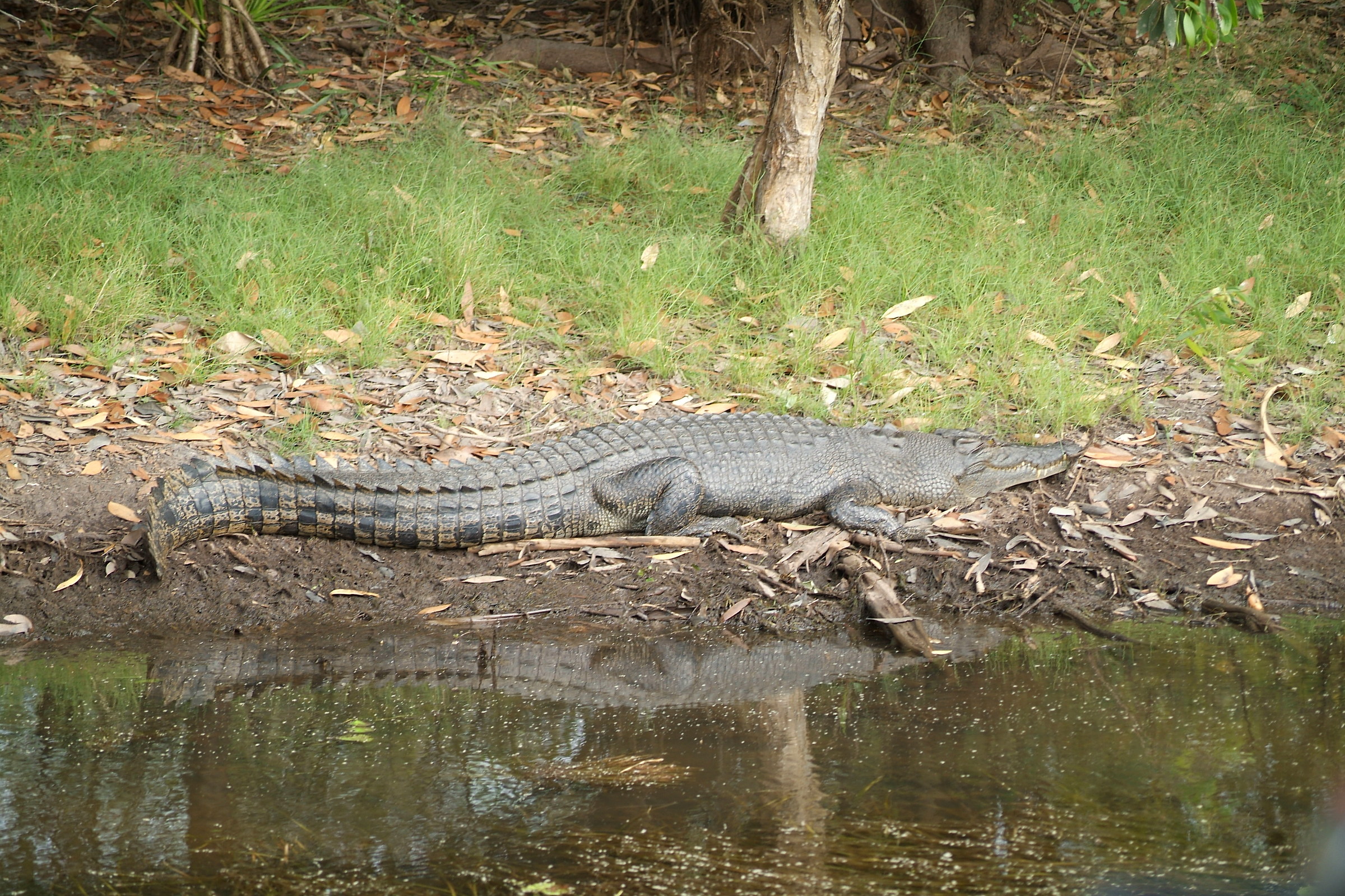 Mi godo un'po' di sole in riva
