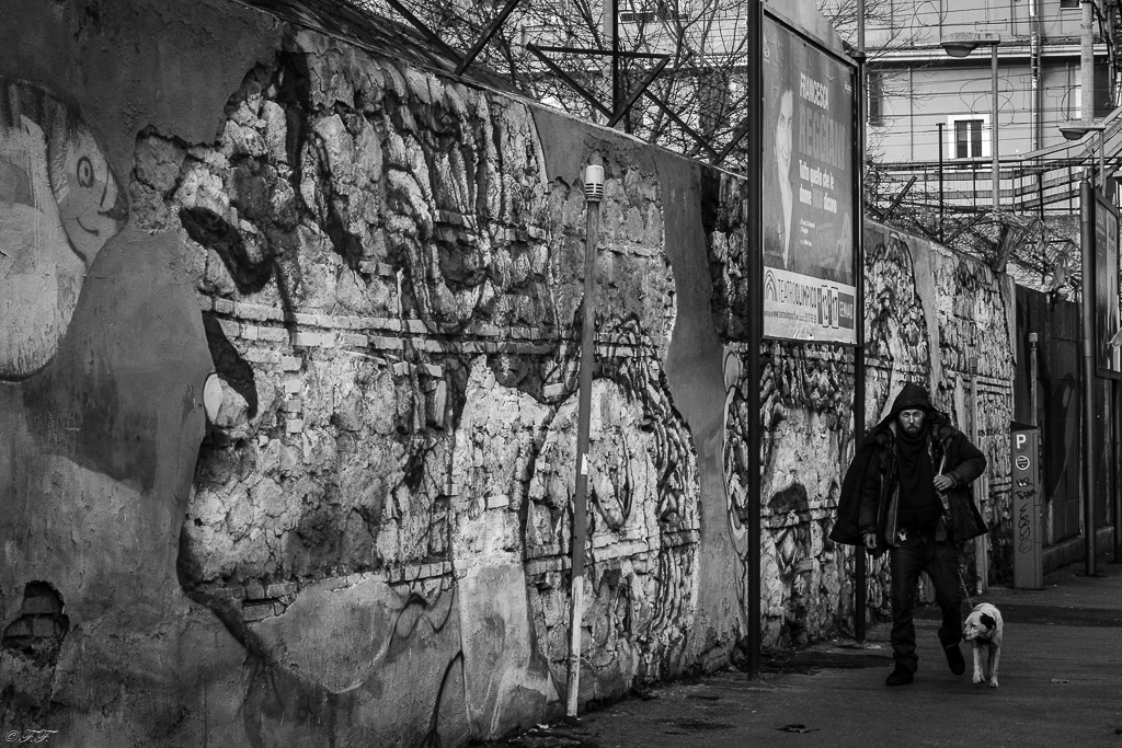 L'unico amico e l'amico unico