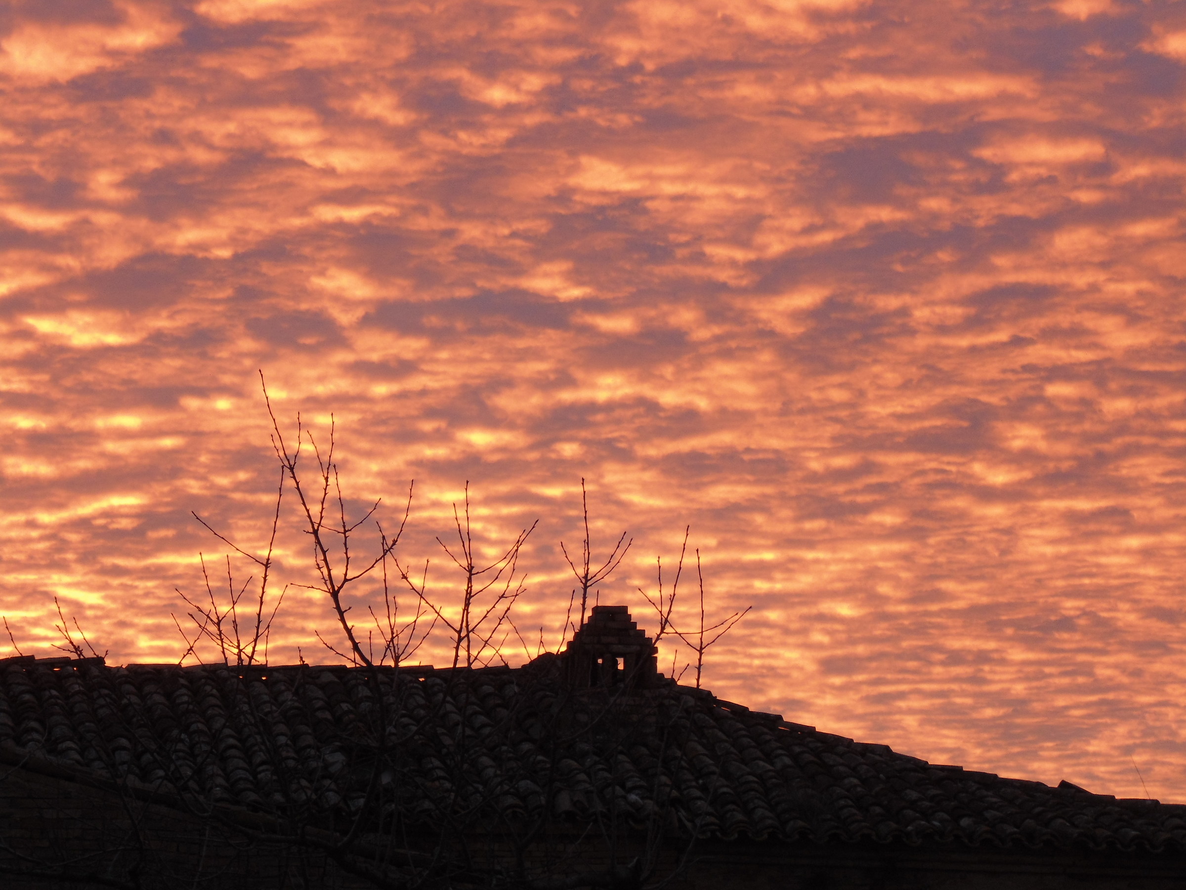 the dawn of the 14 01 2016