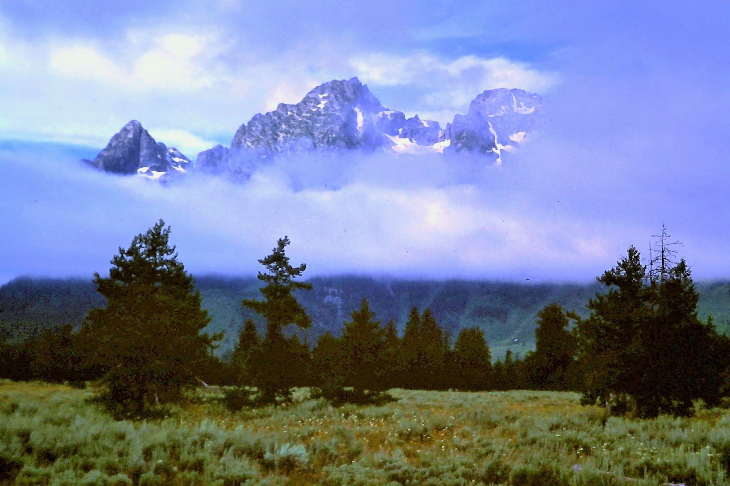 Finalmente una Schiarita
