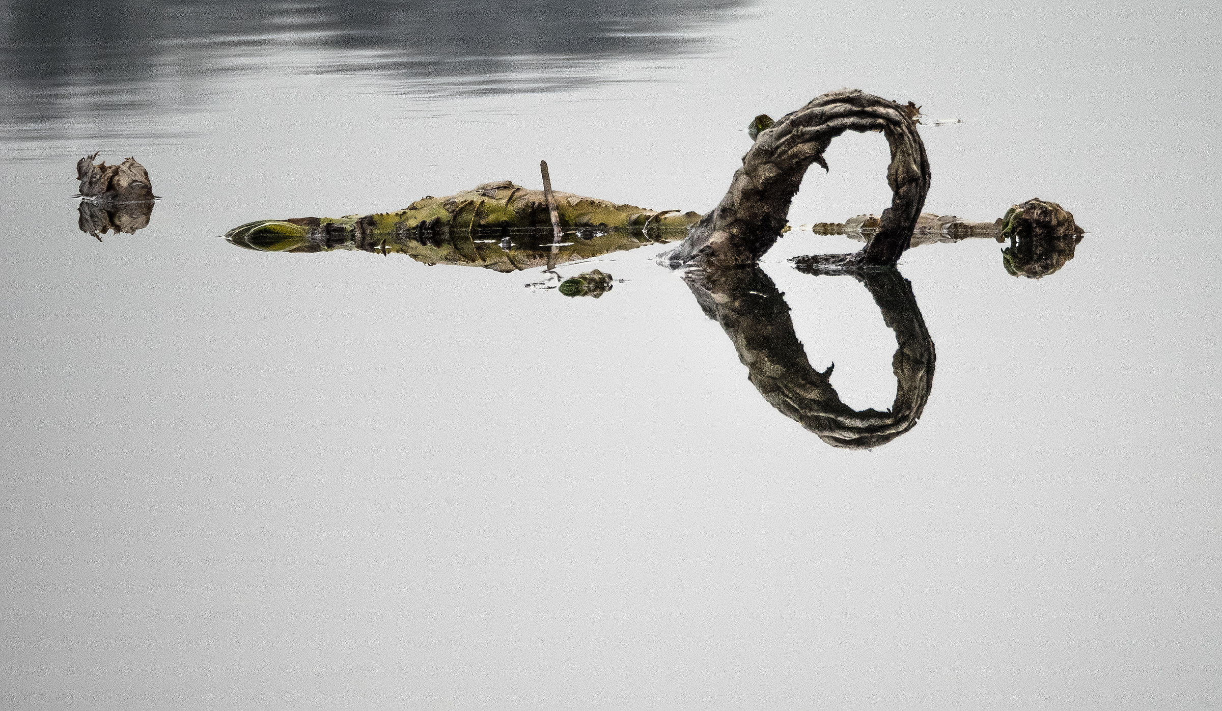 cuore ...naufragato nel lago