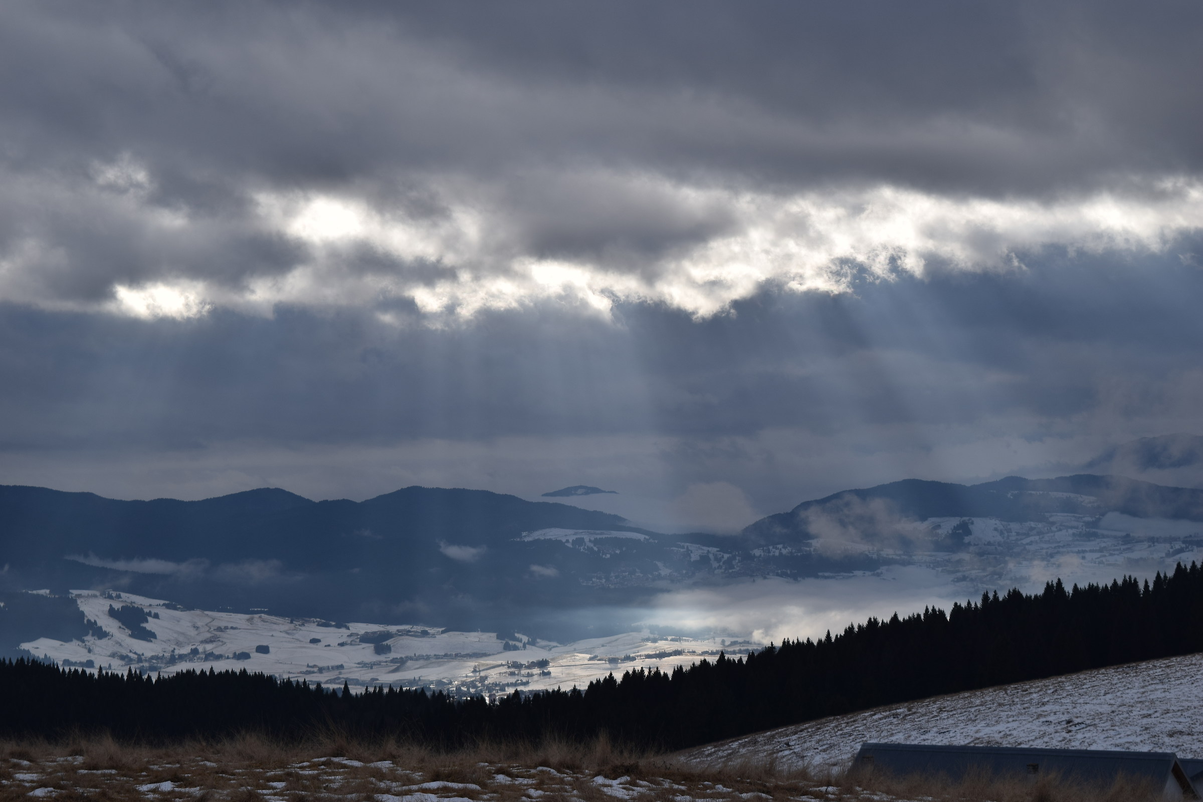 glimmers of light on Asiago