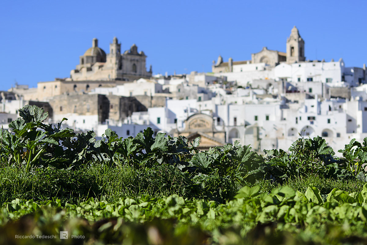 Gli orti di Ostuni