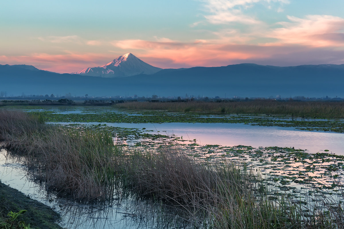 Damavand view from the wetlands of babol