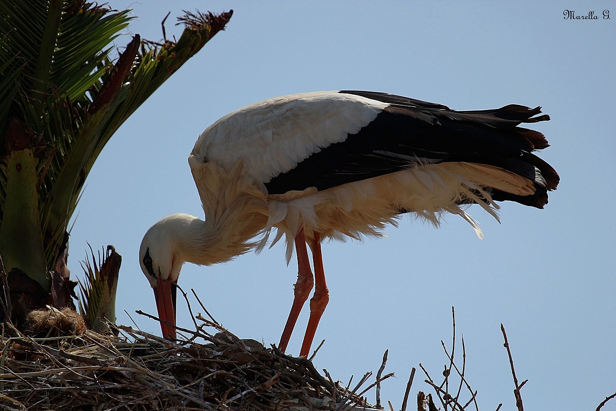 una bella sorpresa...
