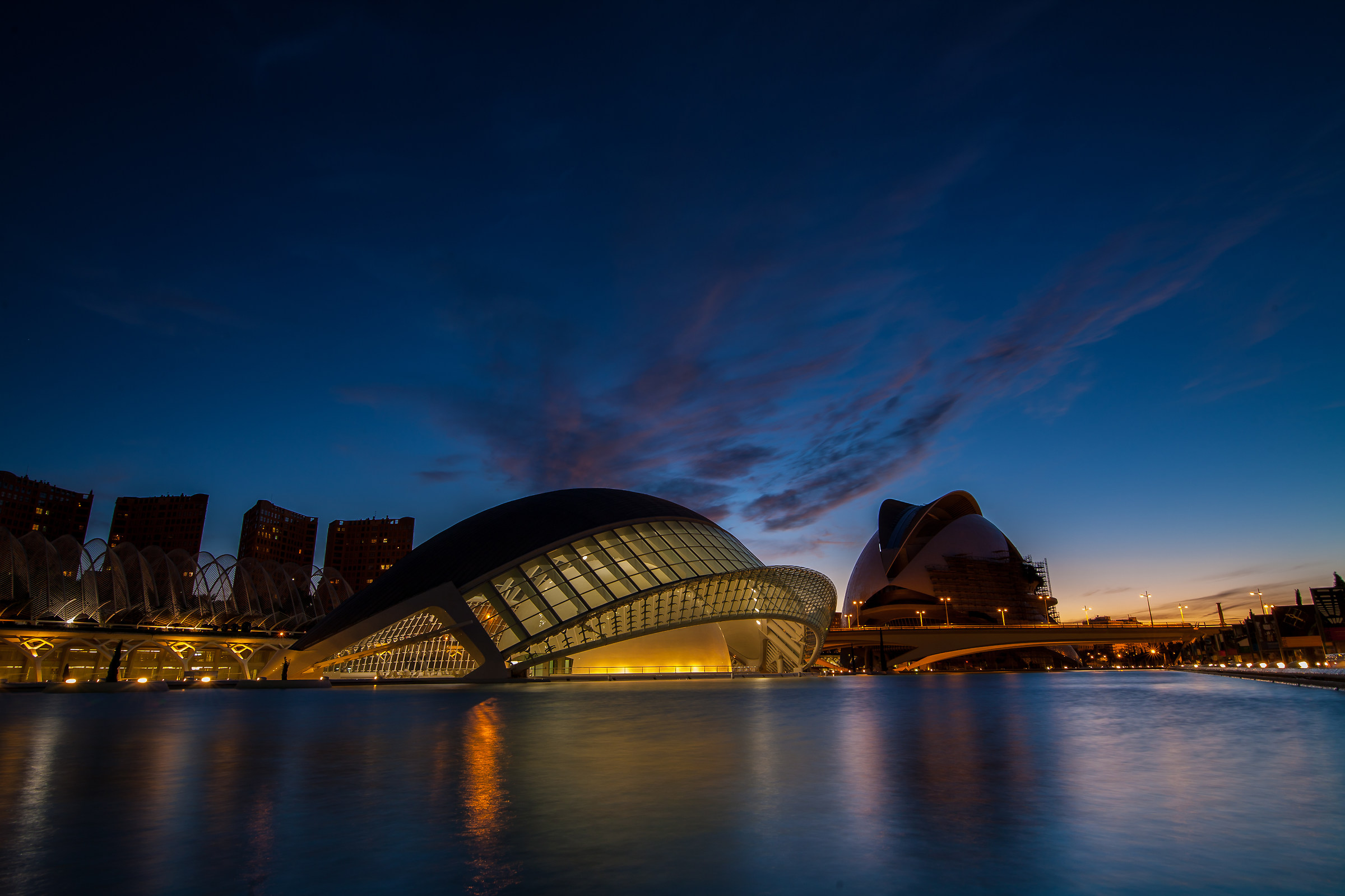 la citta delle scienze valencia 1