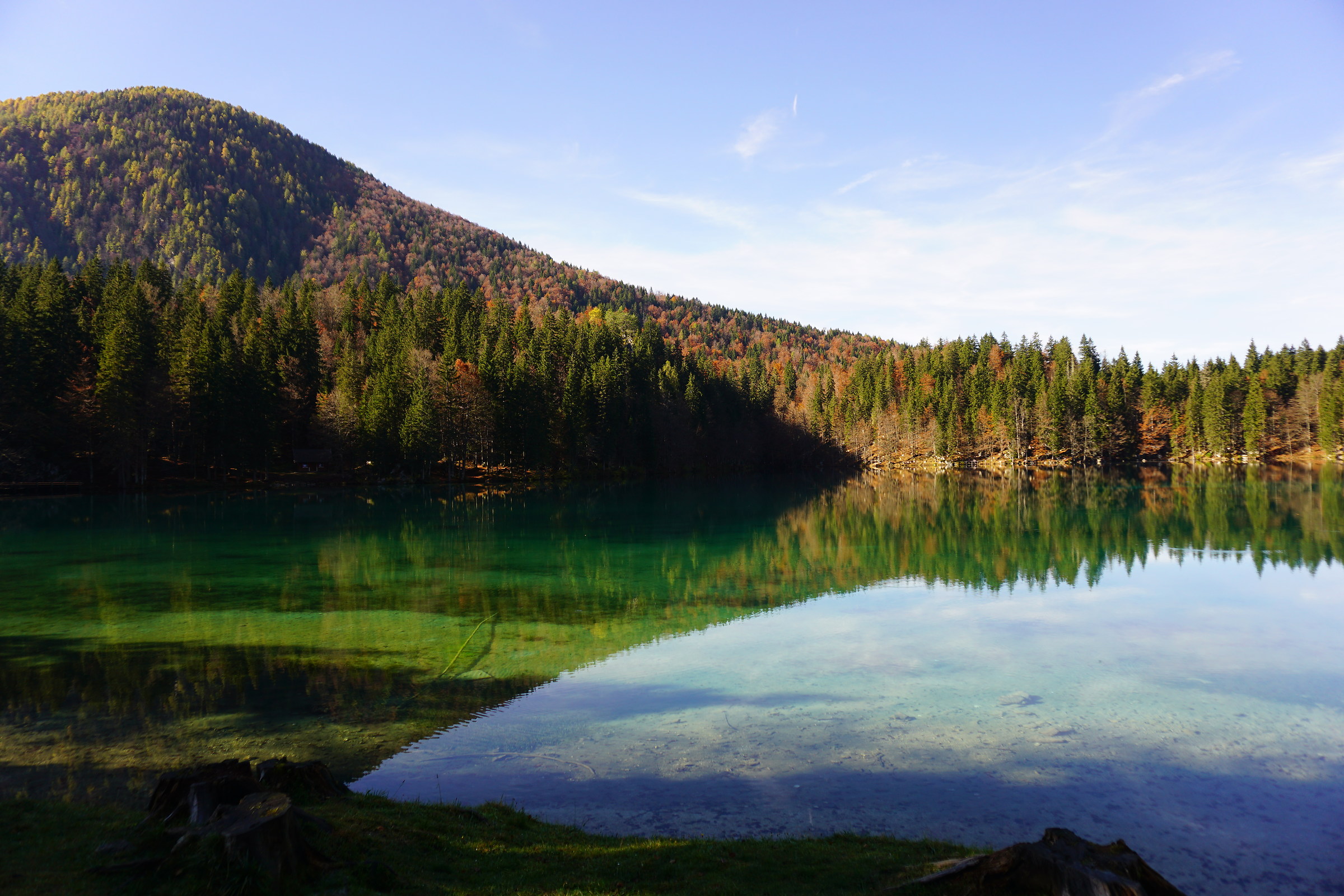 Lake Plums