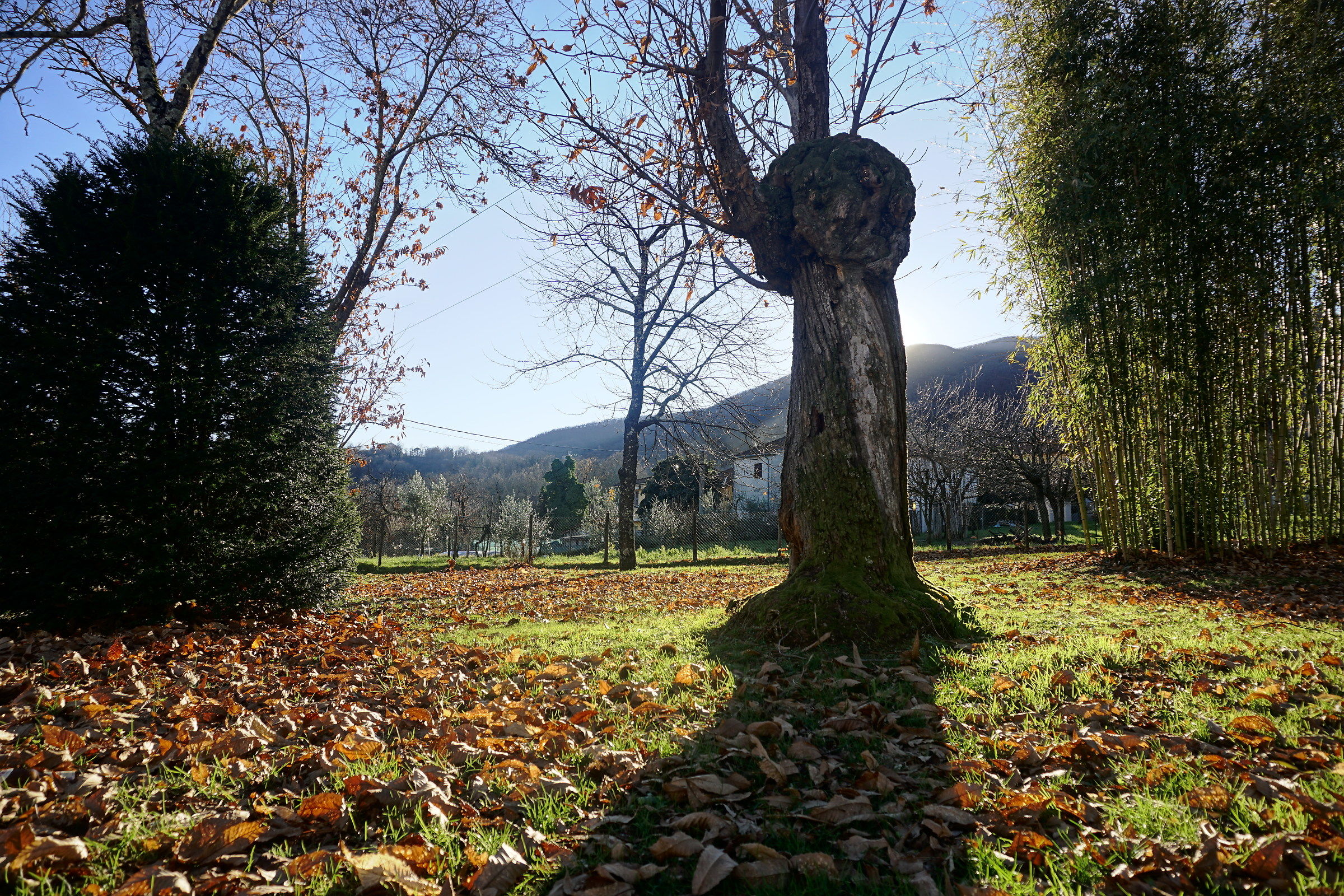 Villafranca in Lunigiana