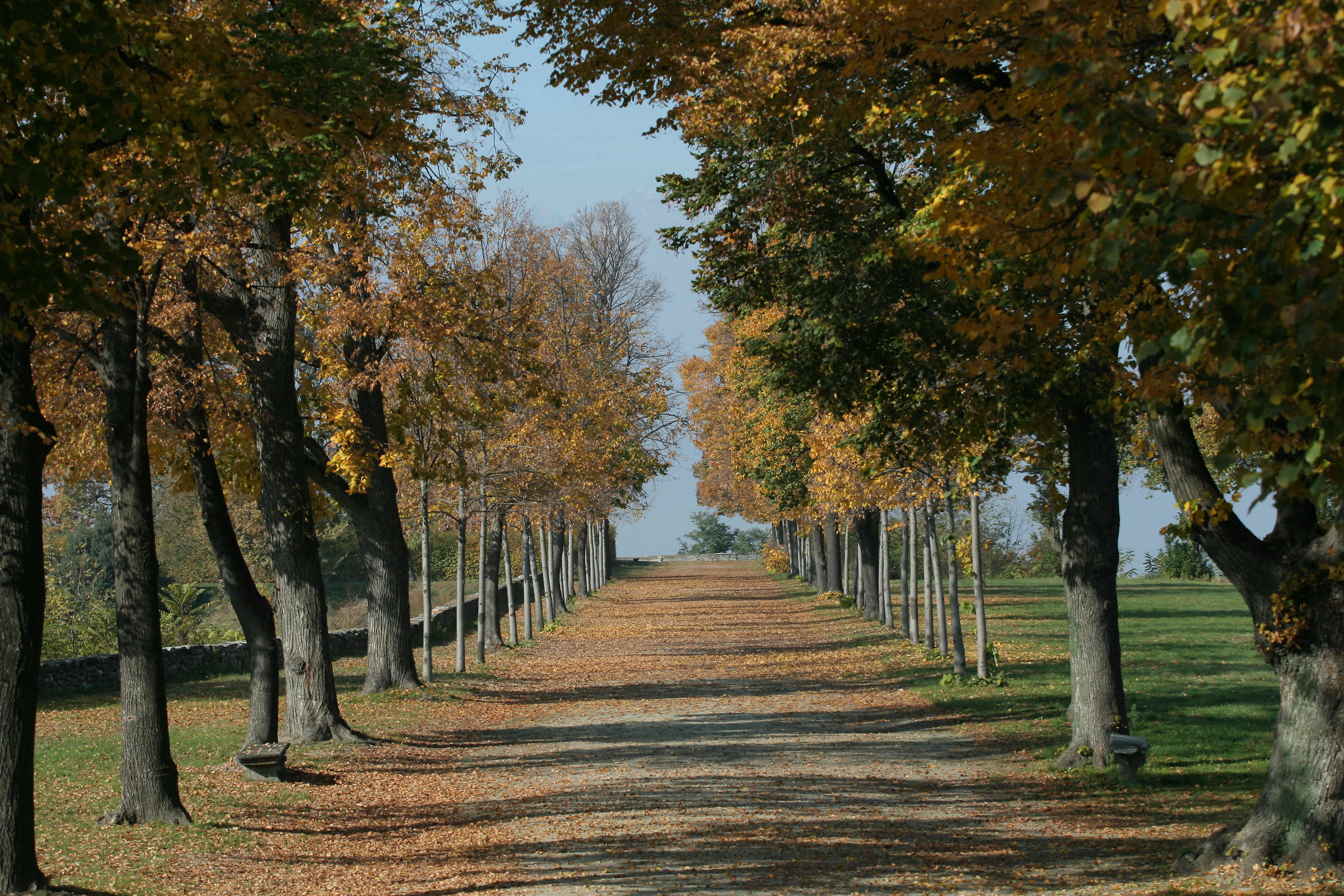 Masino, viale del tramonto