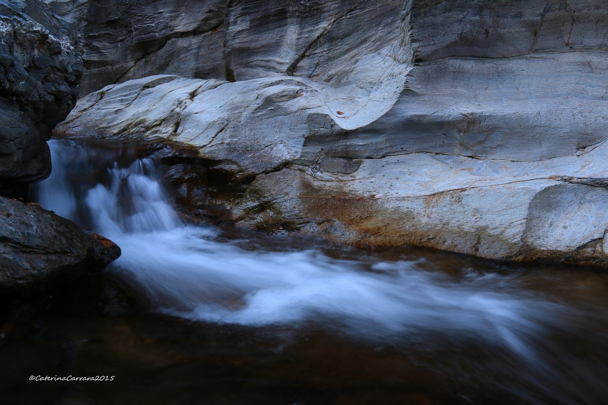 The sculptures of the water!