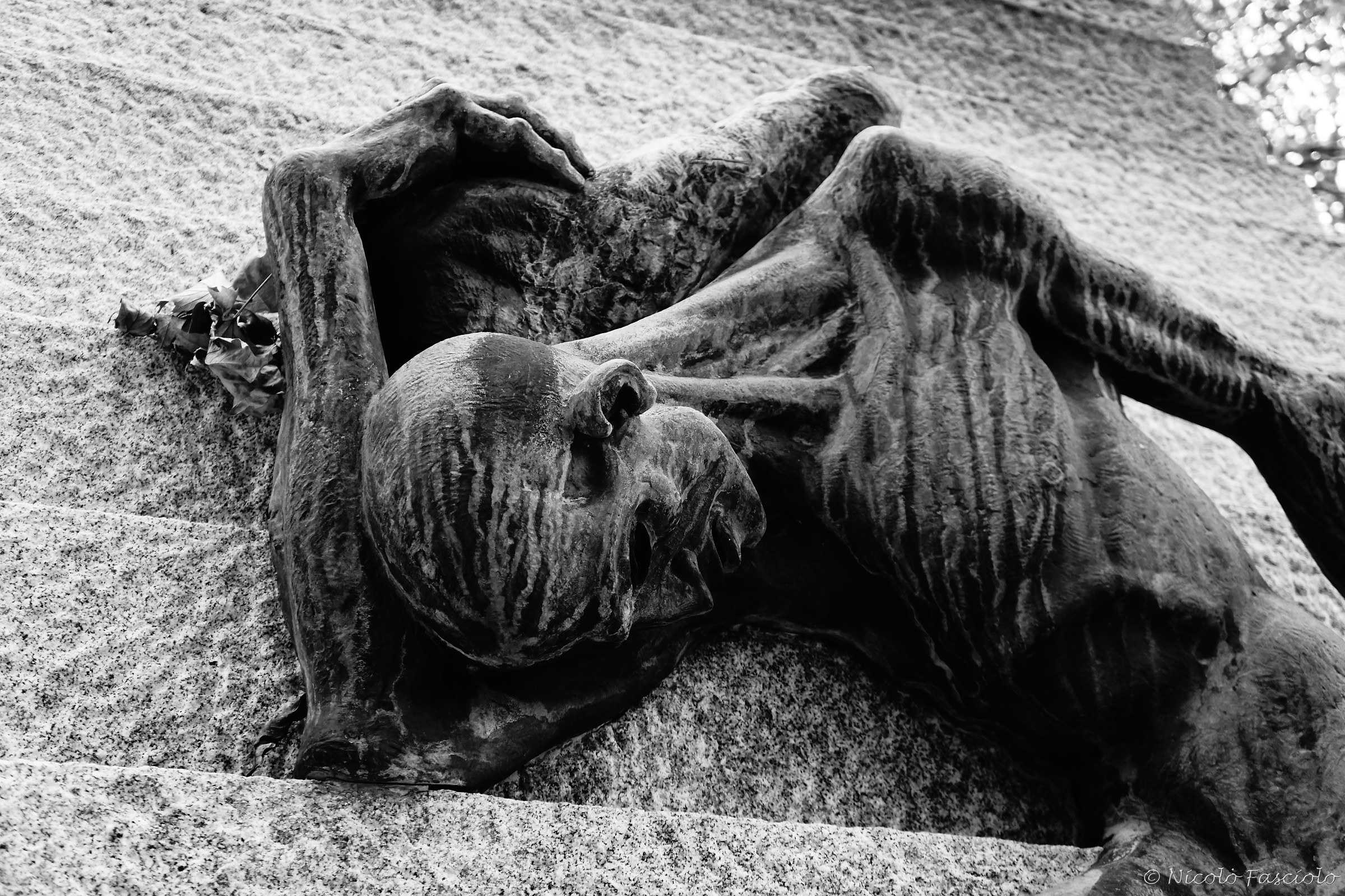 The suffering and death