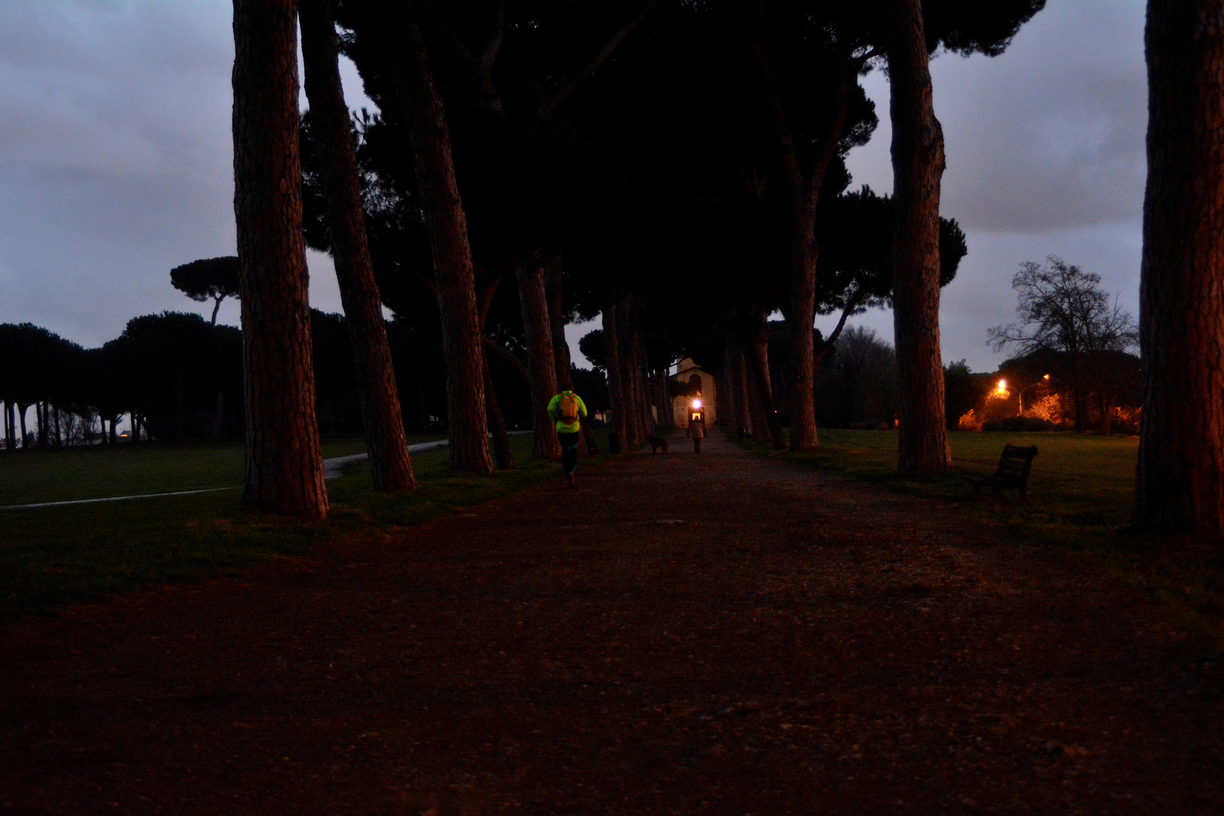 Comes to the park in the evening ...