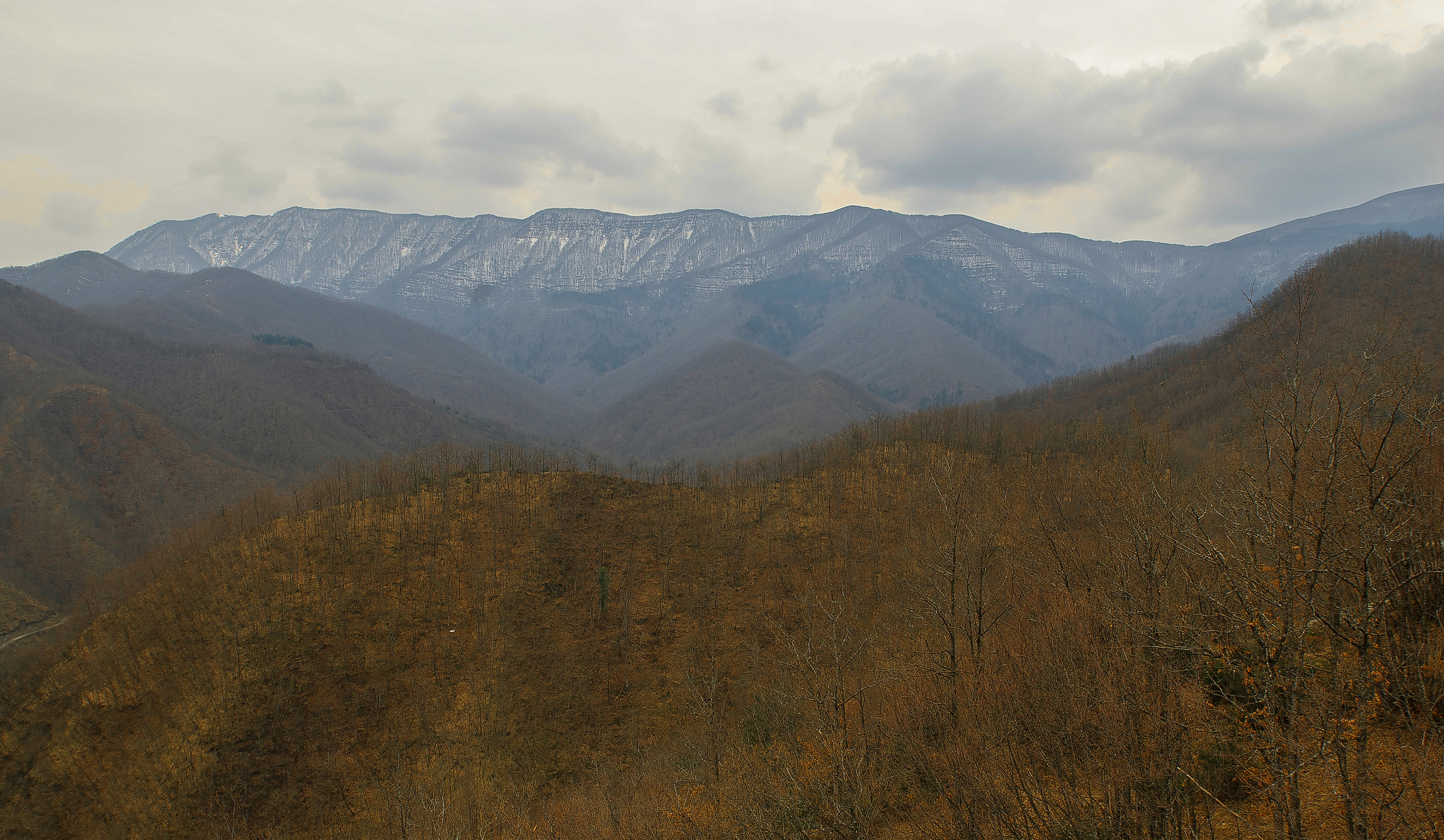 Foreste casentinesi 4