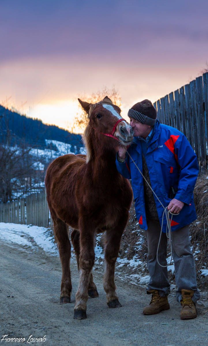 Nuovo acquisto (romania)