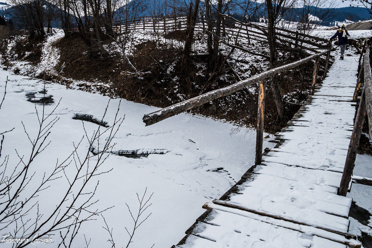 ponte sul fiume ghiacciato (Romania)