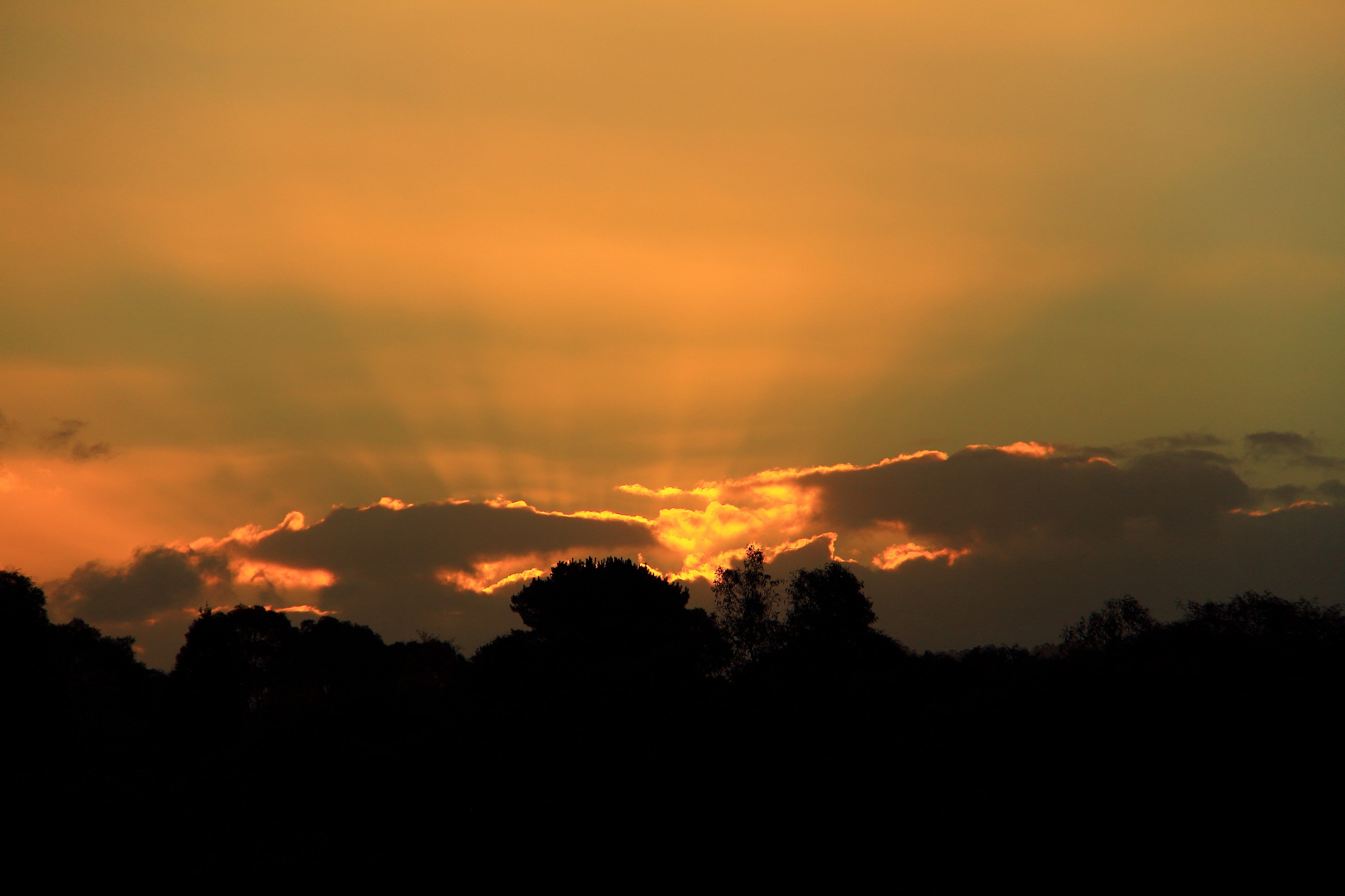 Sunset - Golden Rays