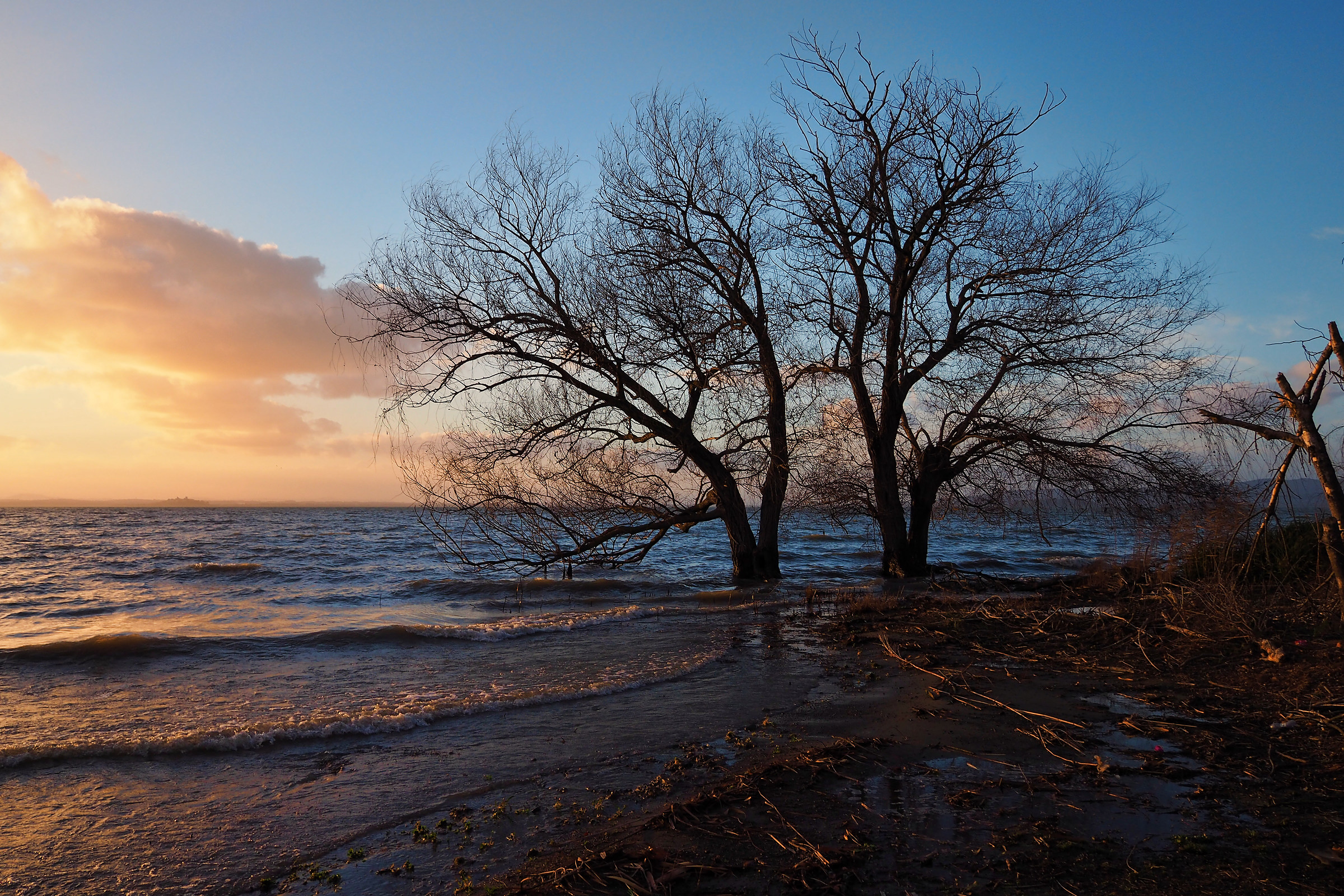 La vita prevale nonostante tutto