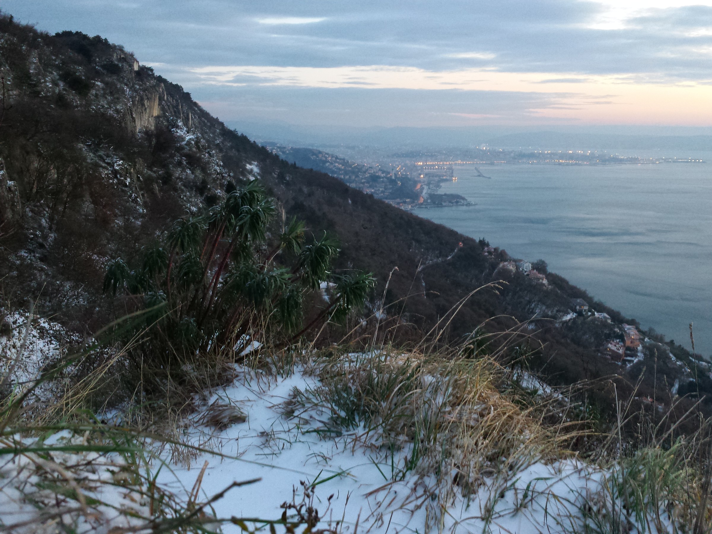 Trieste from Karst