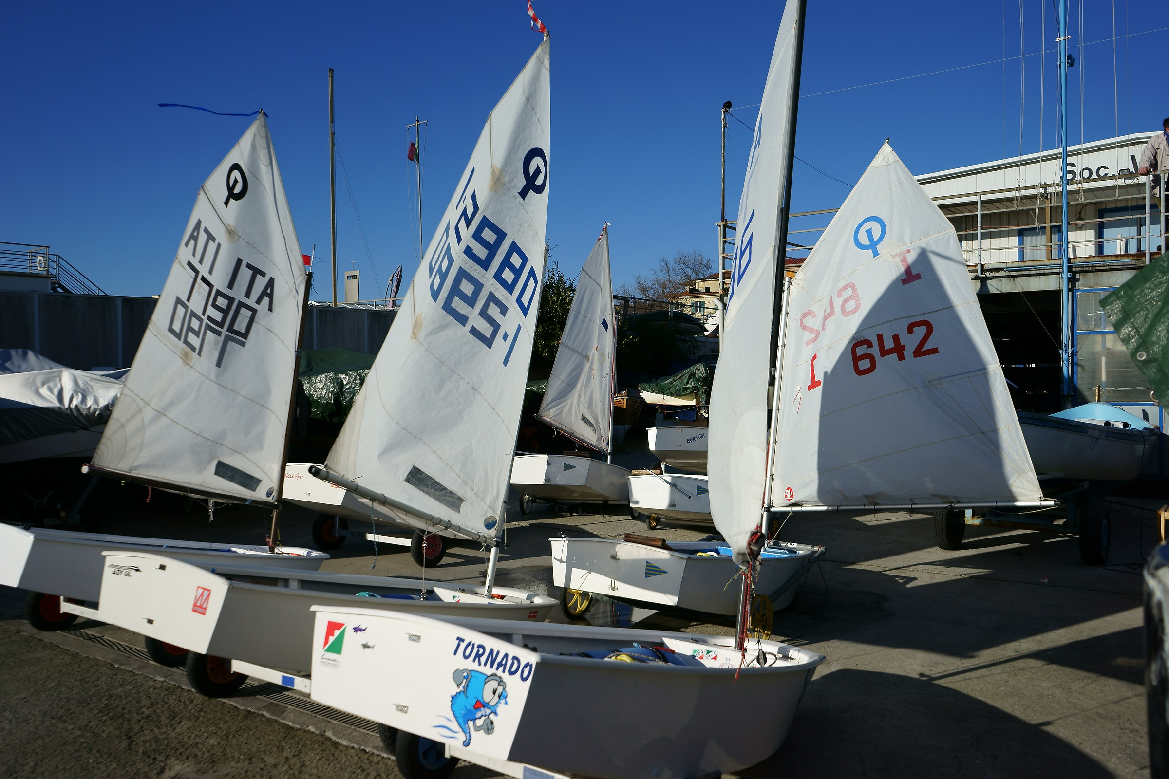 Preparation of the race