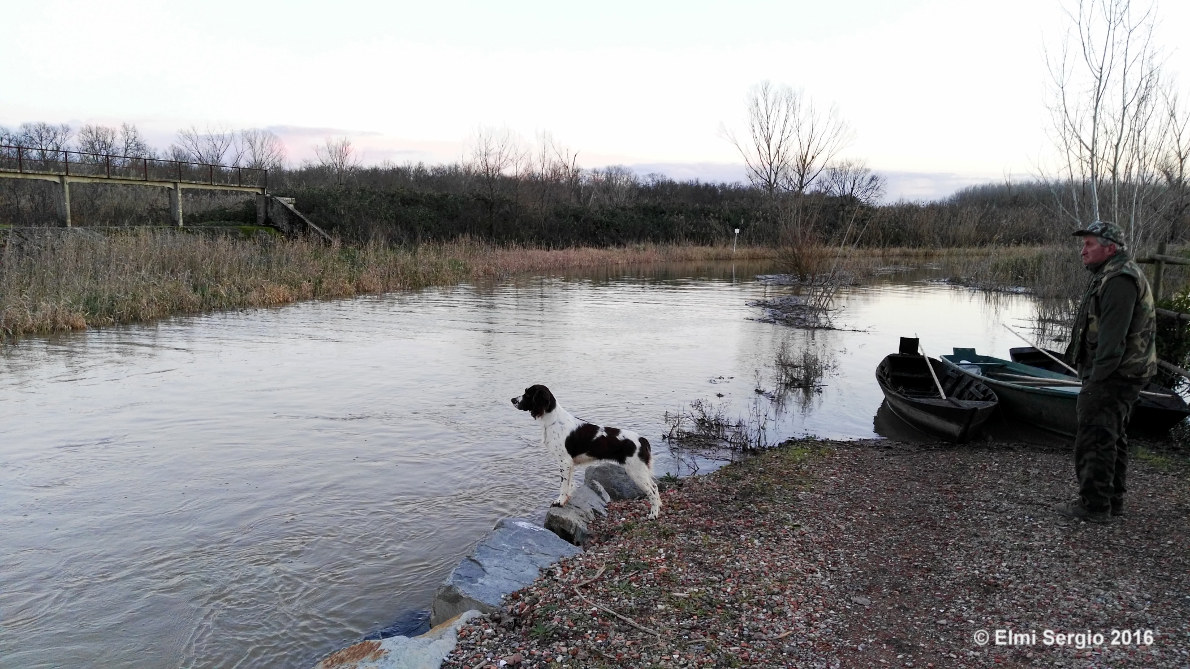 Il Cane e il Cacciatore