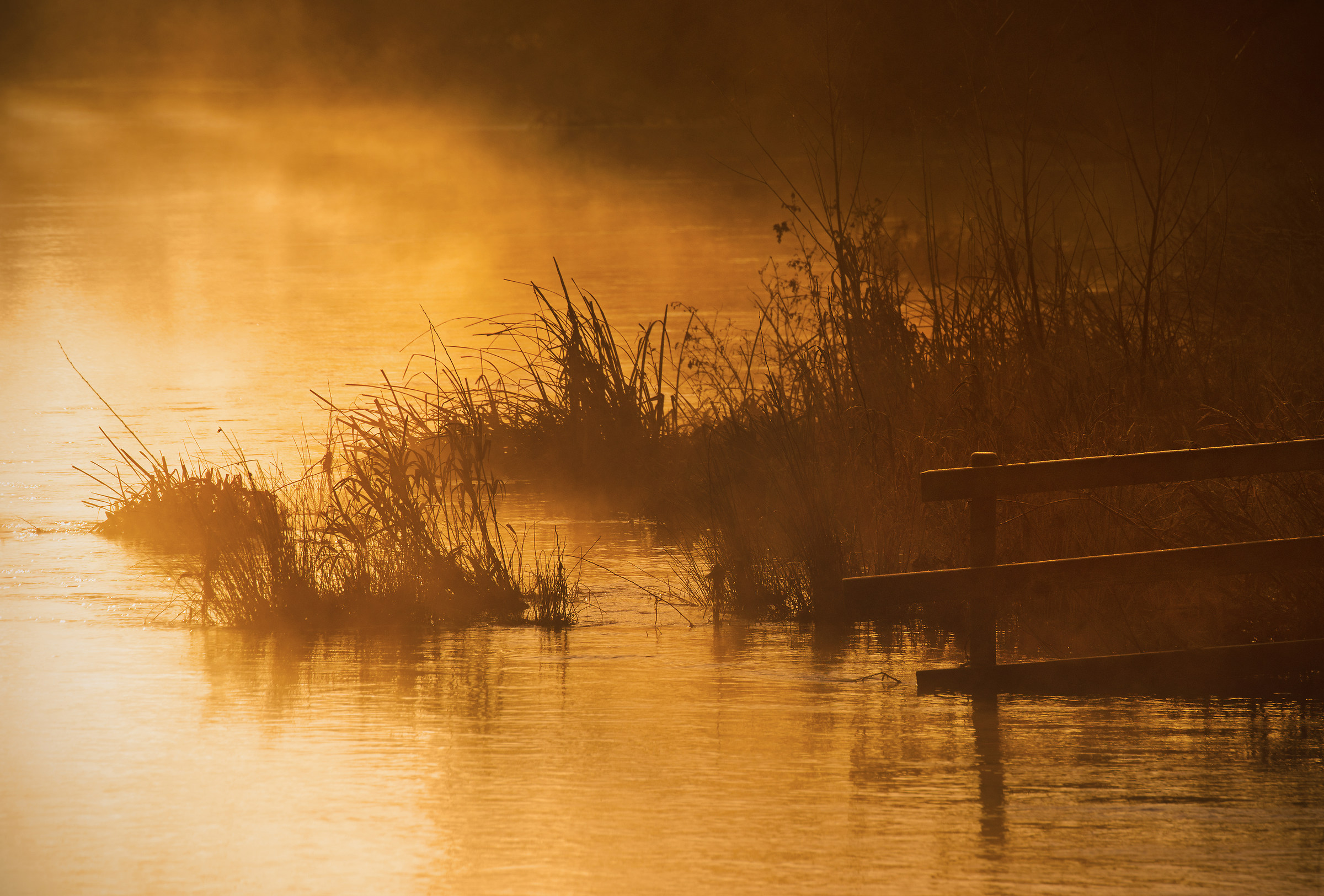 Il Misty congelamento fiume Alba