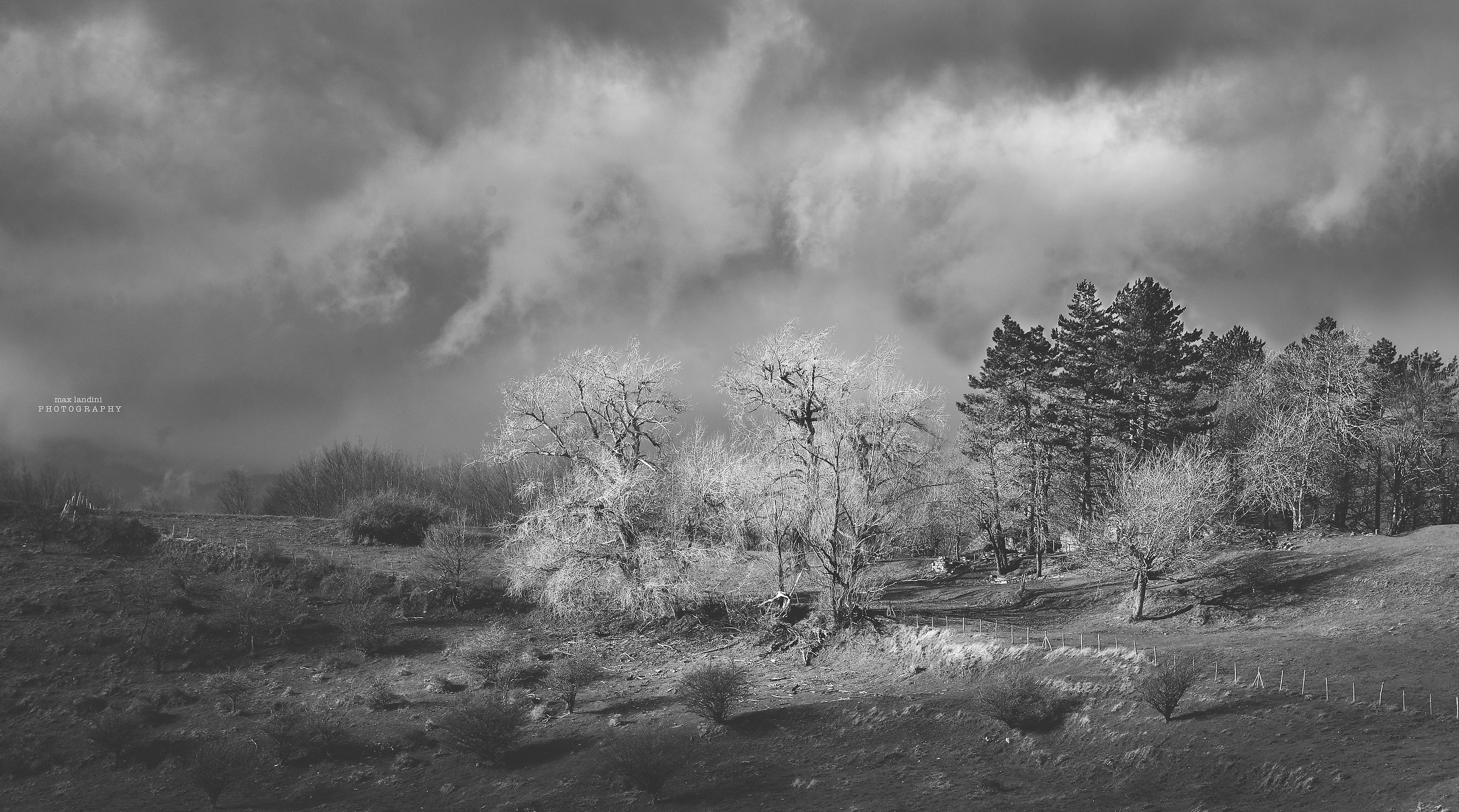 paul on Alp -foreste Casentino