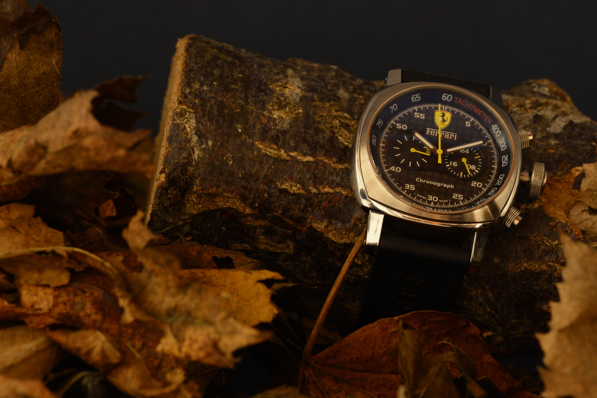 A "red" in the woods