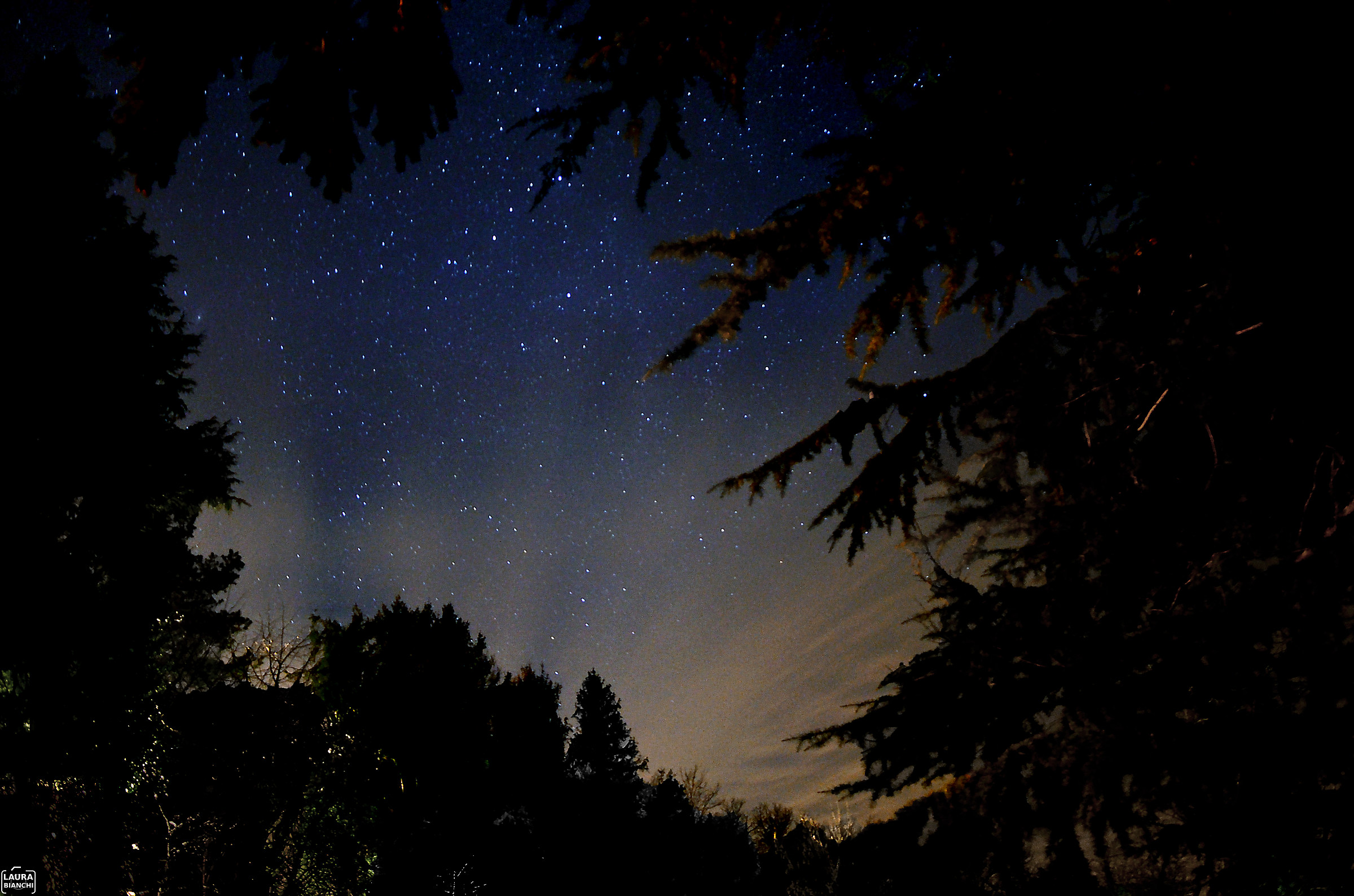Cielo stellato a Velva (Ge)