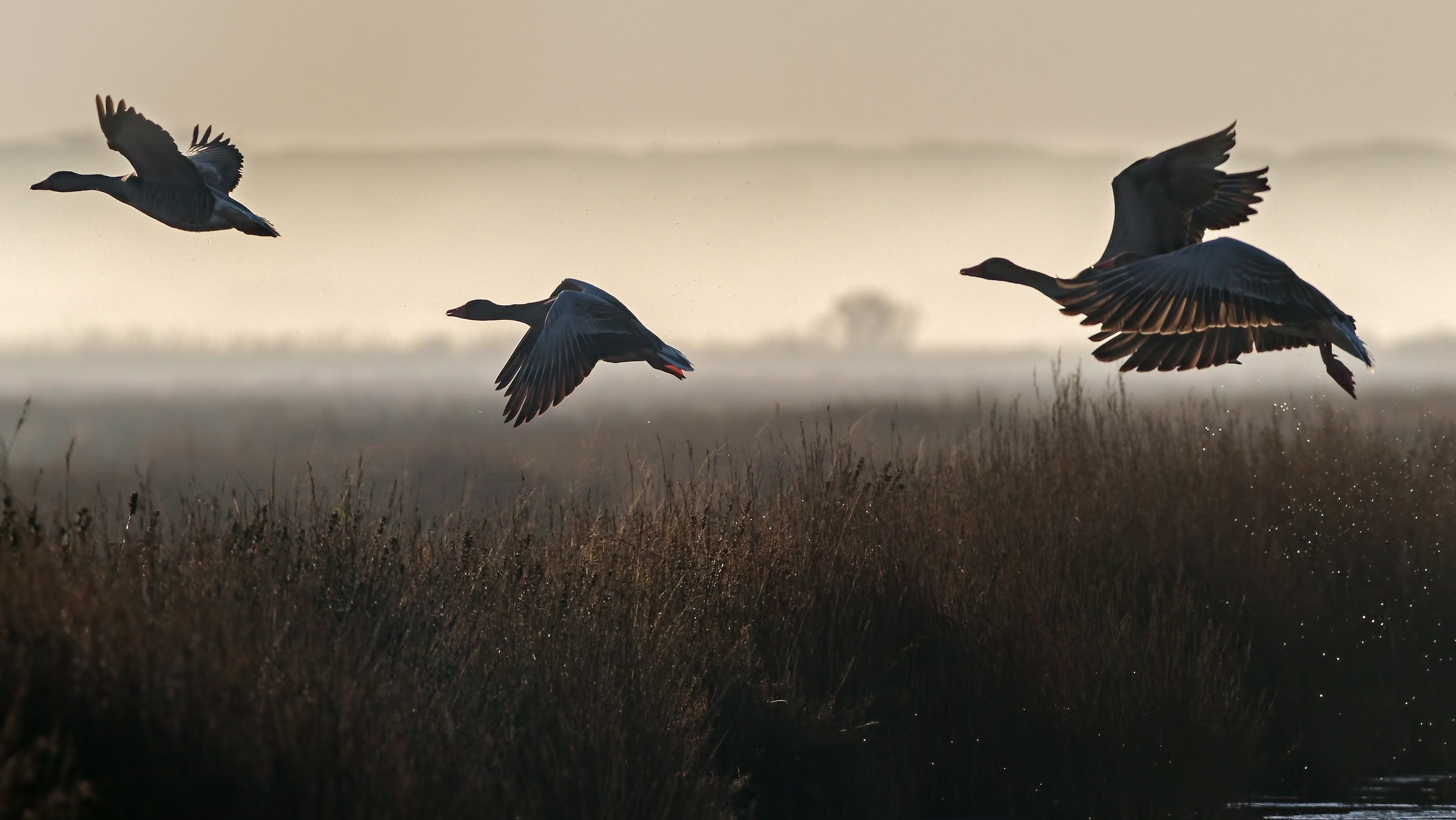 Volo in Maremma Toscana
