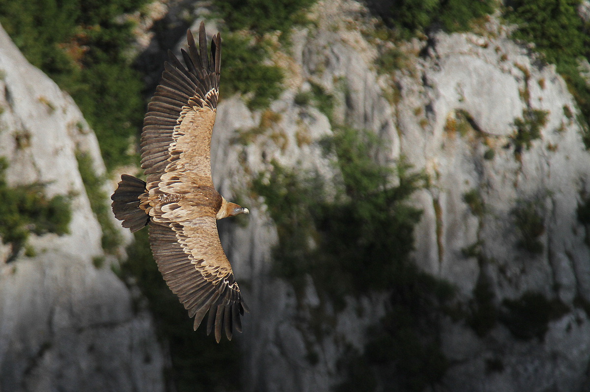 Ultimi raggi di sole......