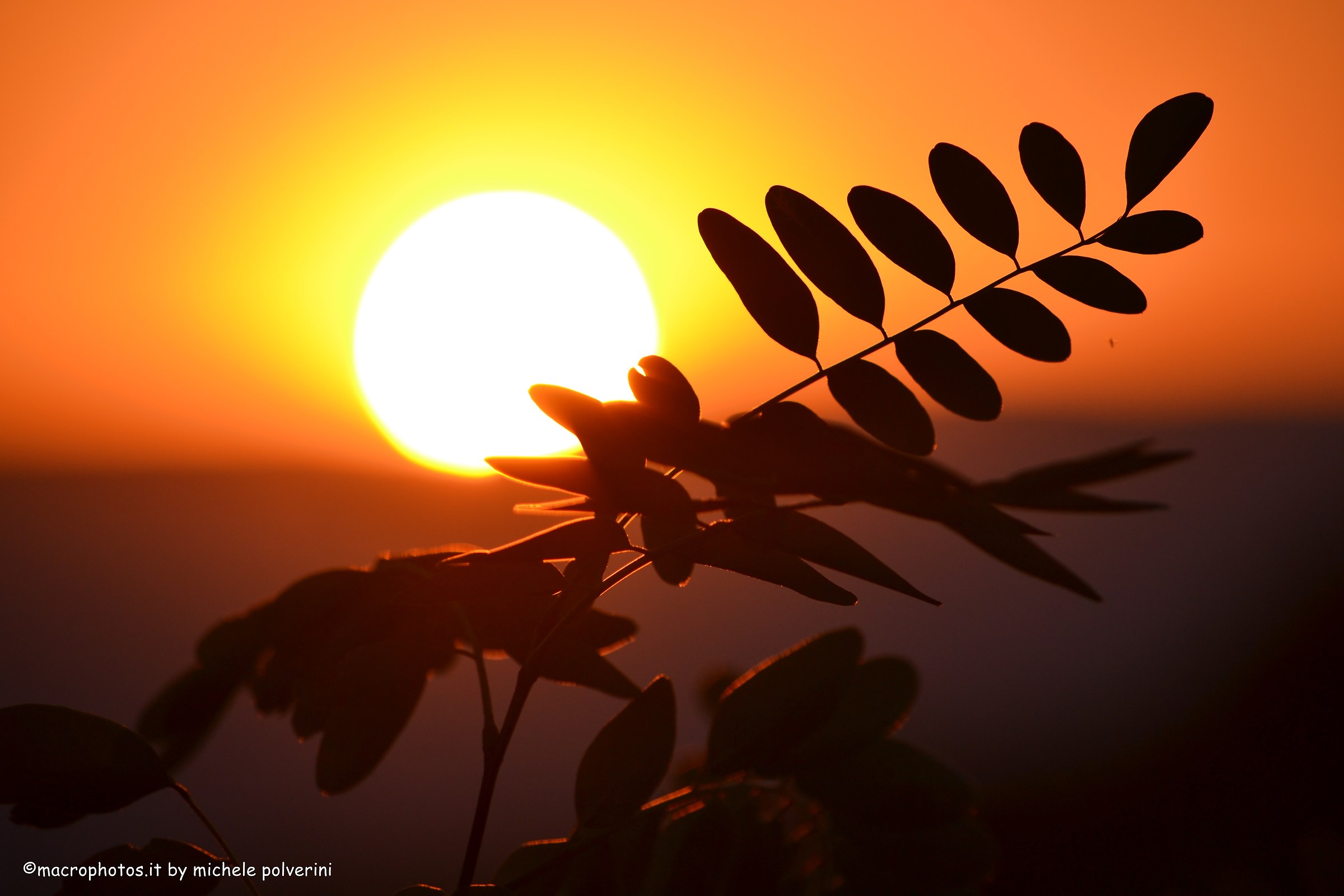 Sunset on Mount Cetona