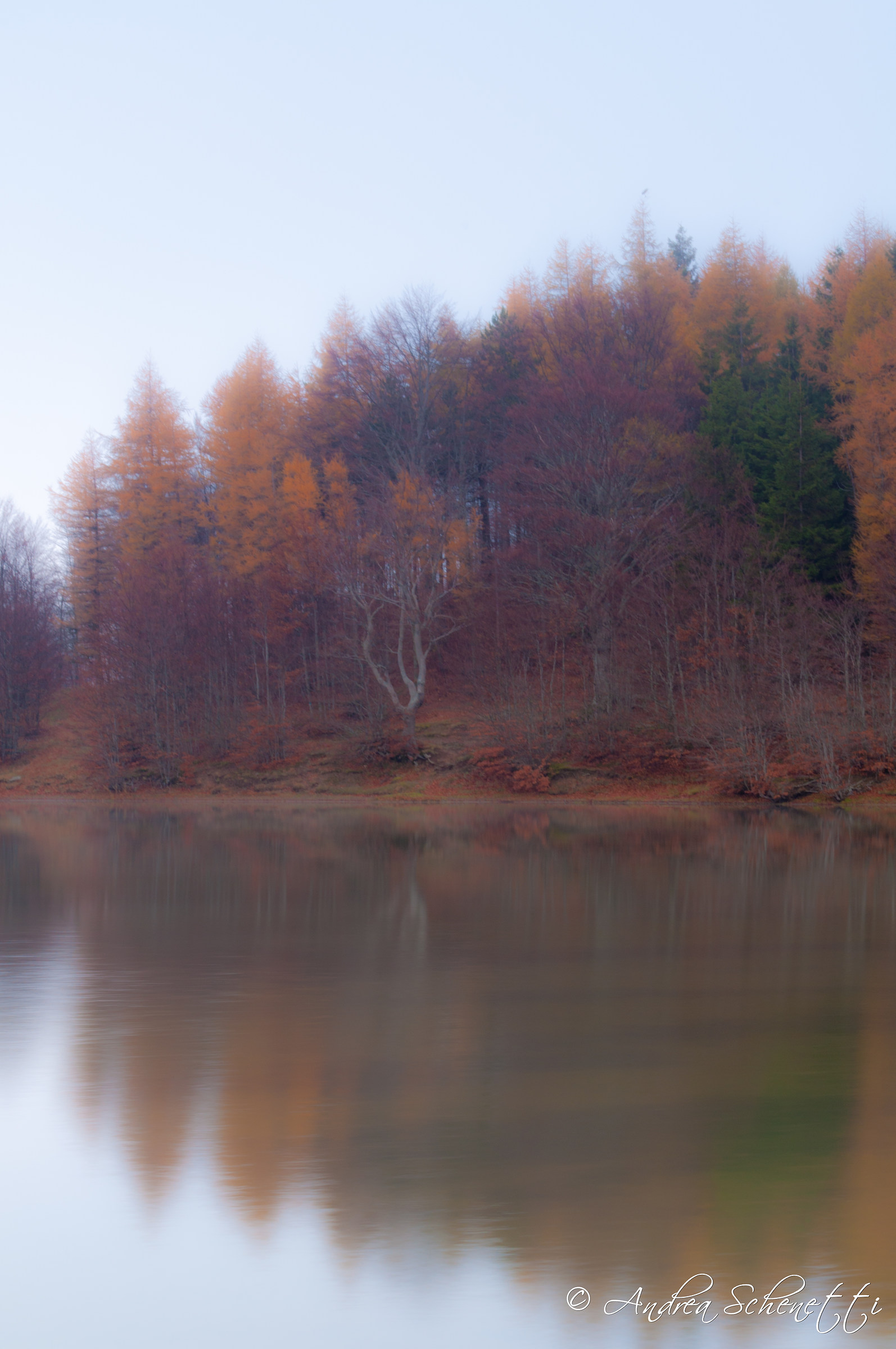 Reflections of Autumn