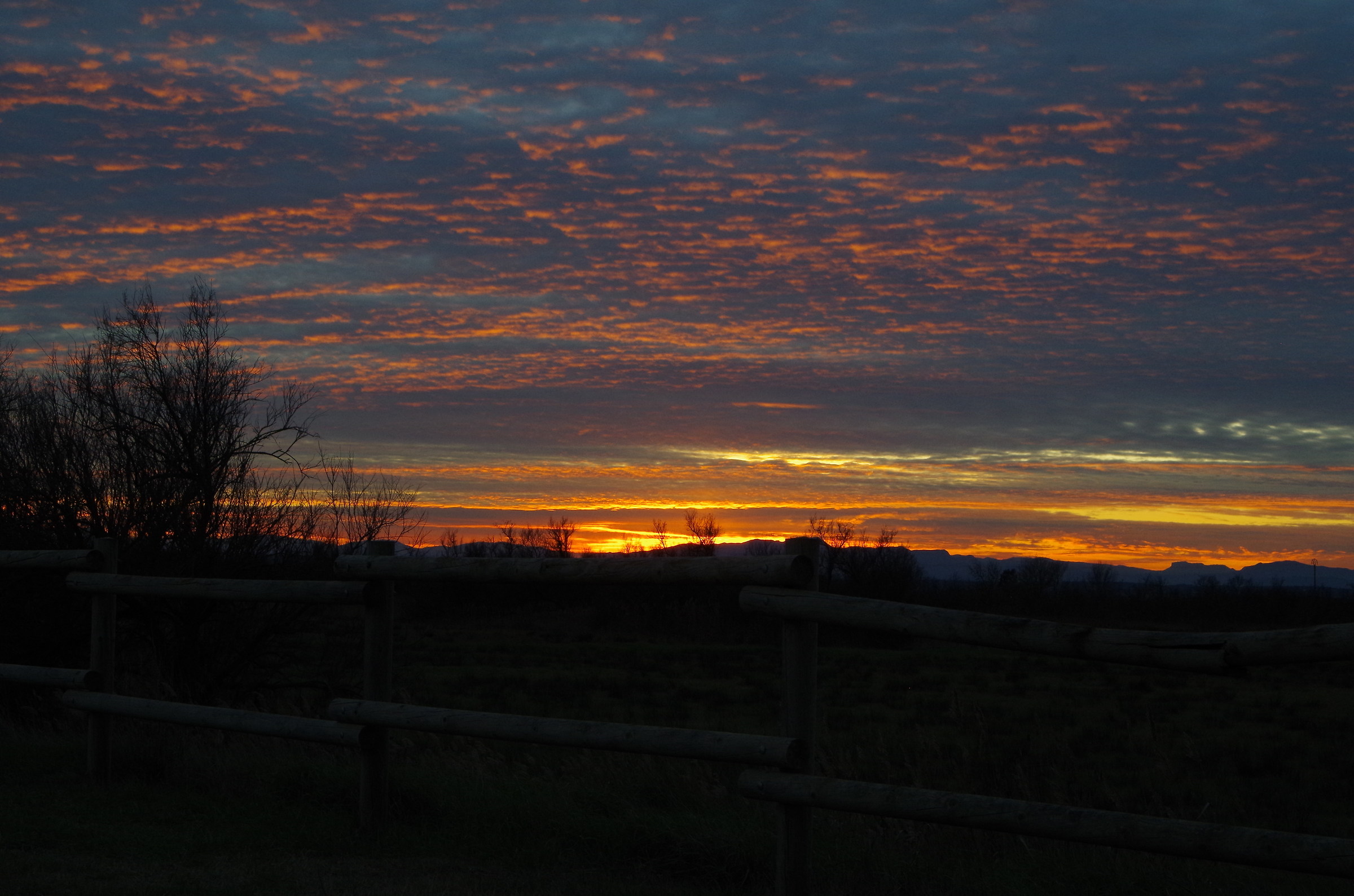 last light on aiguamolls