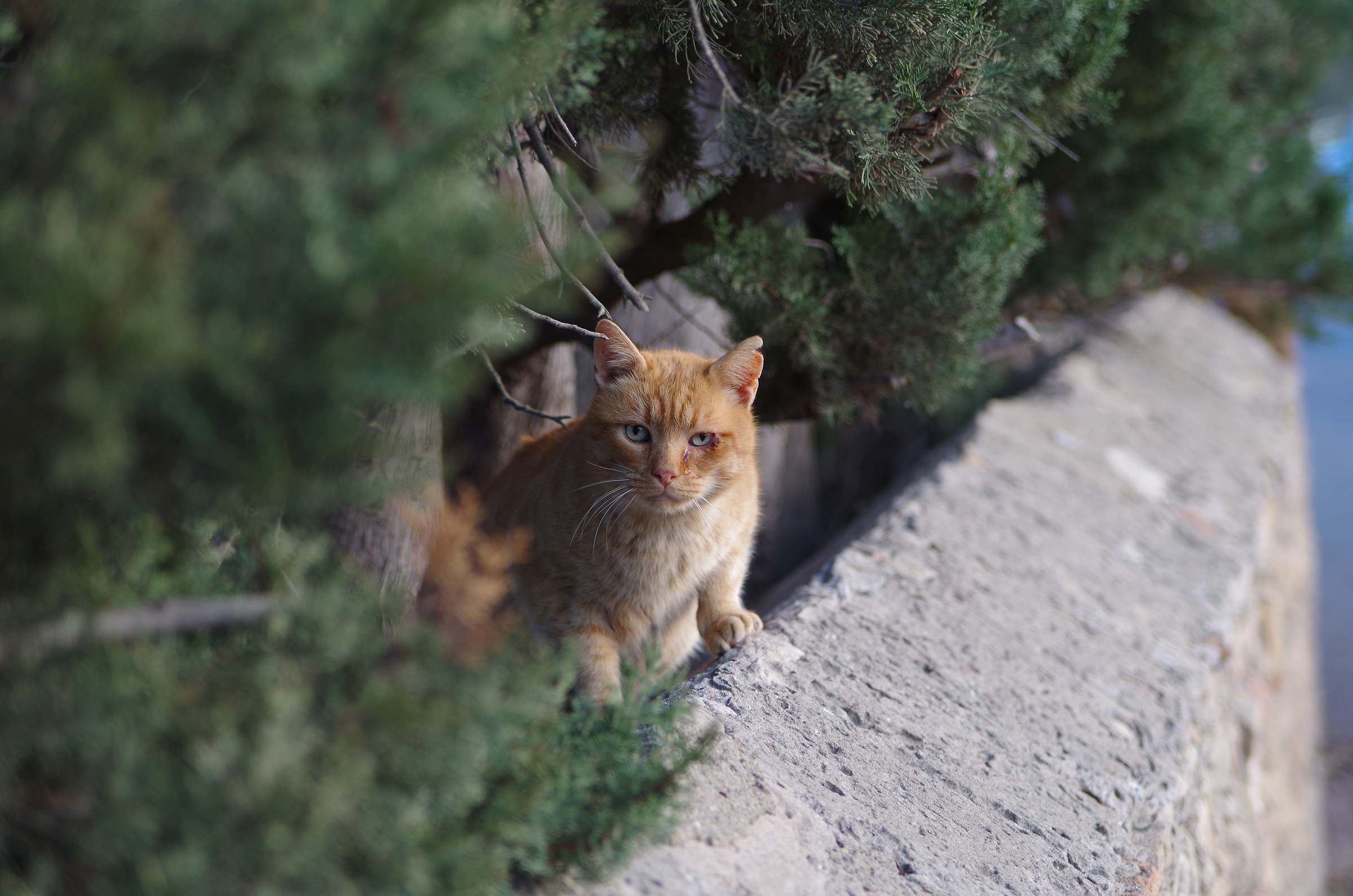 postumi delle scorribande notturne